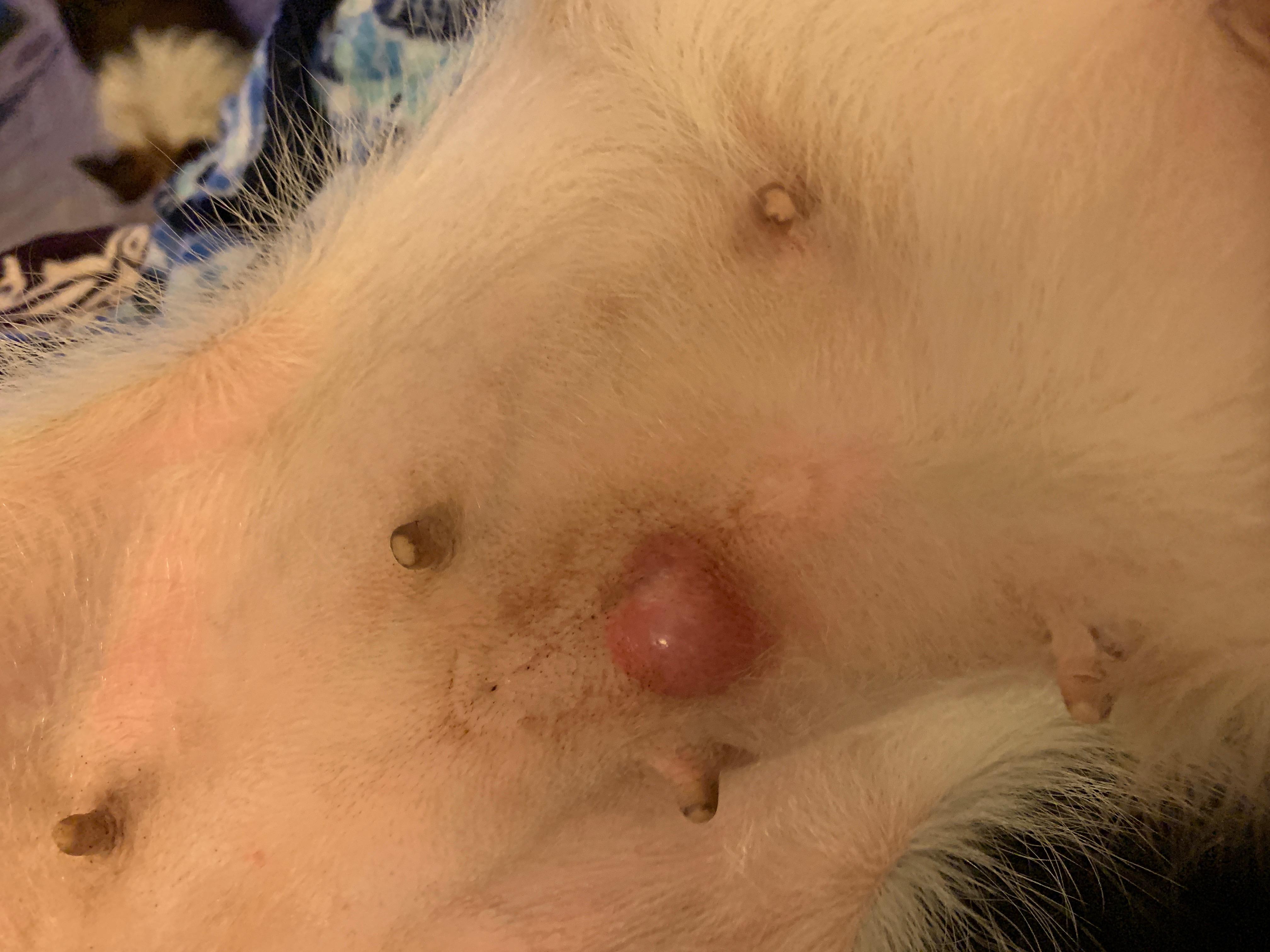 Question details sensitive content