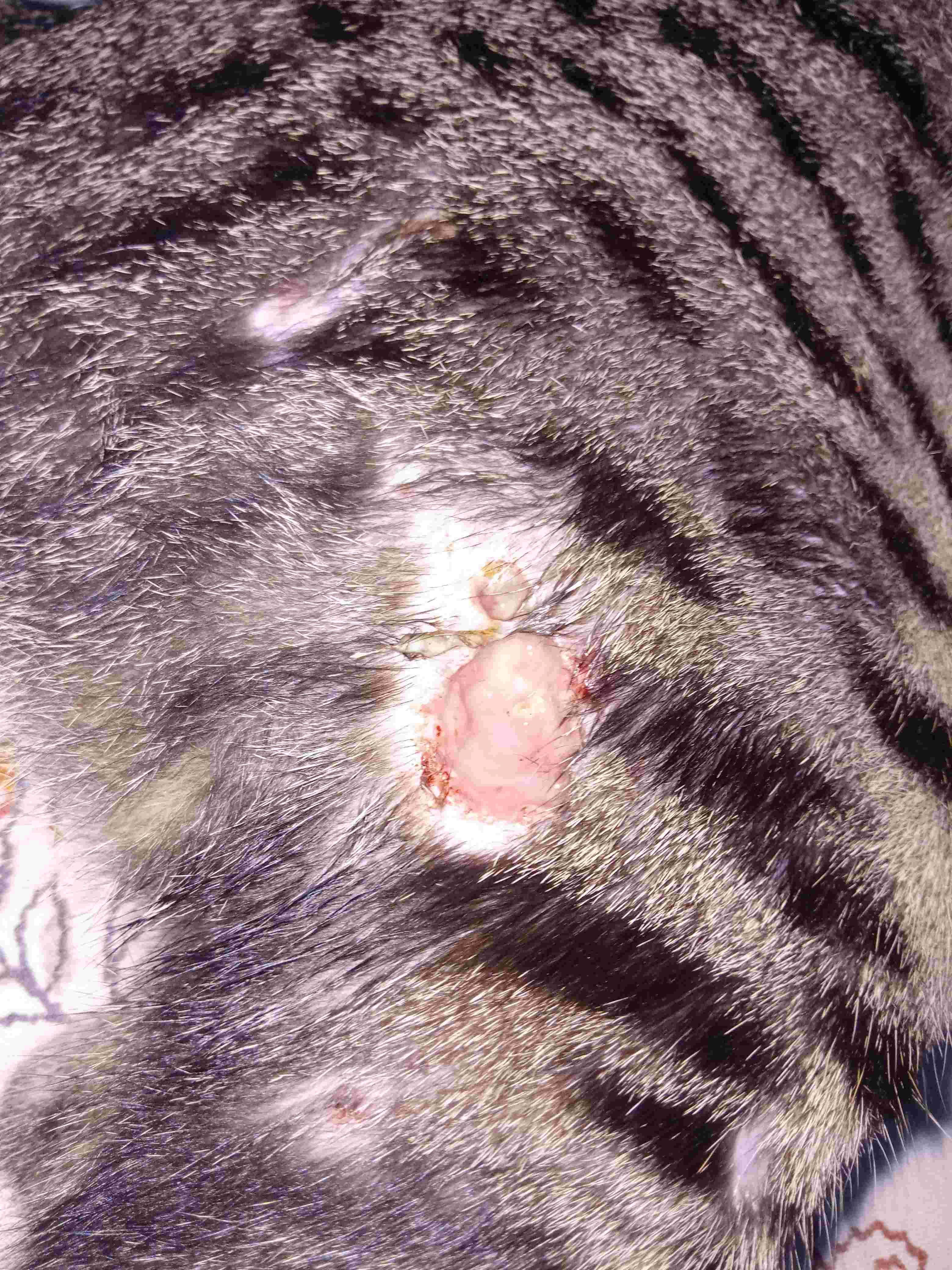 Question details sensitive content