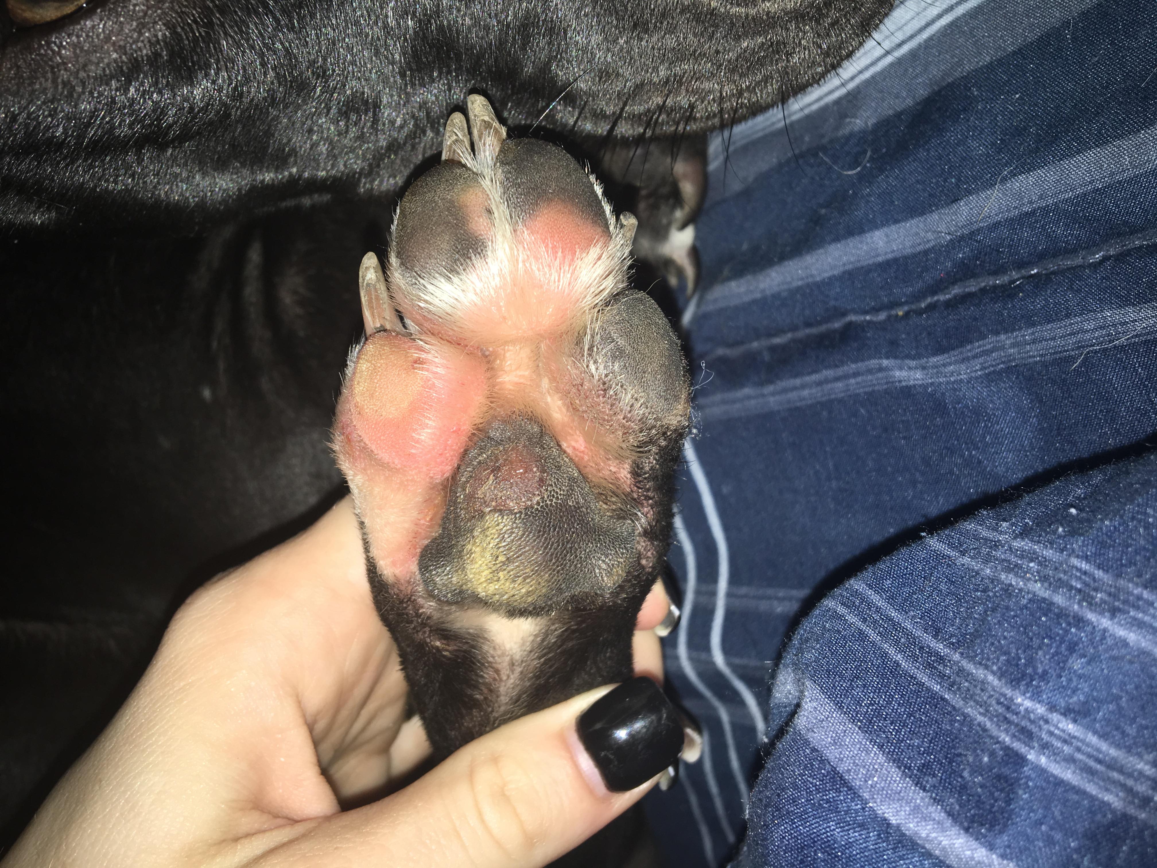 Question details sensitive content