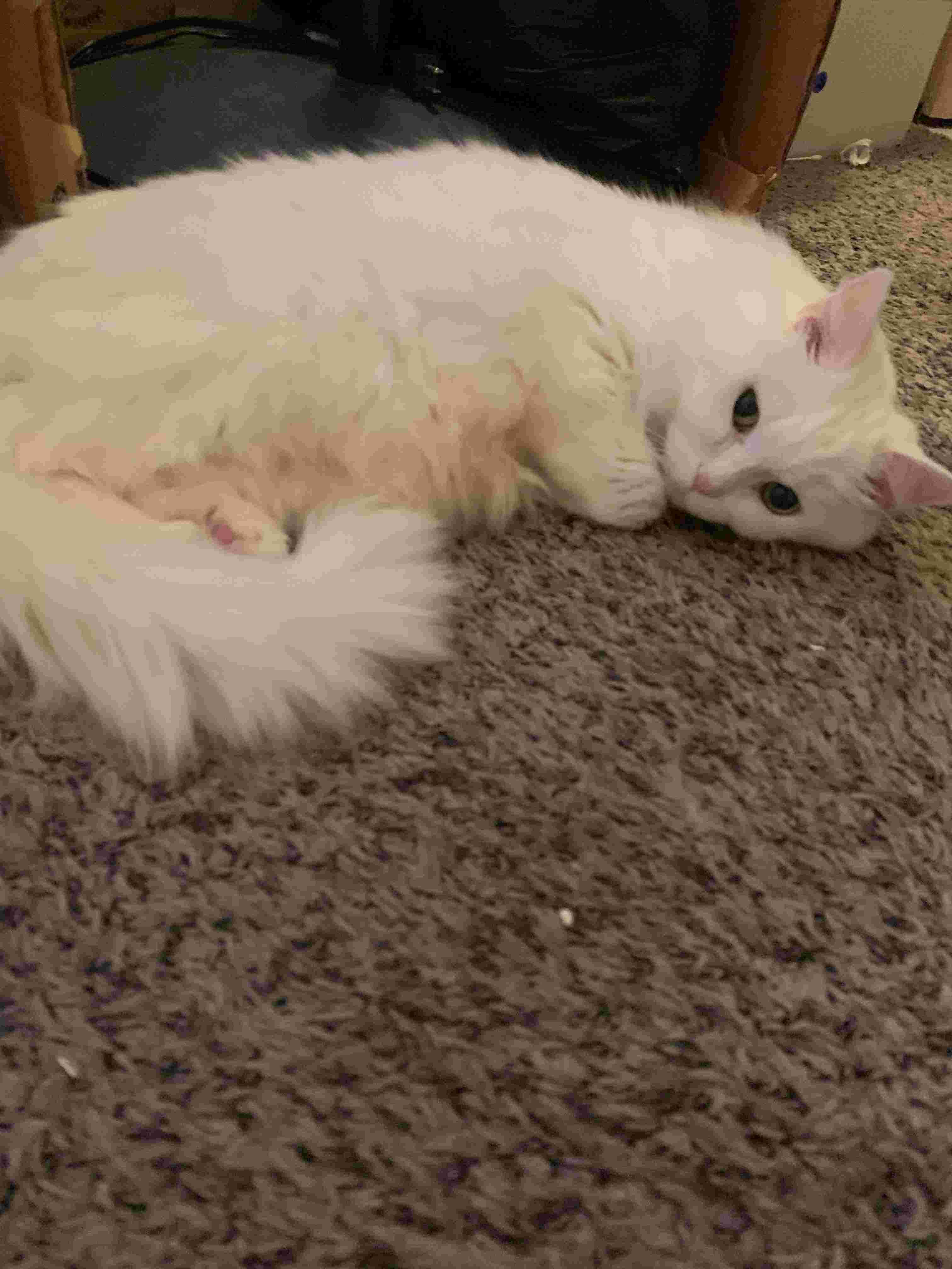 Question details sensitive content