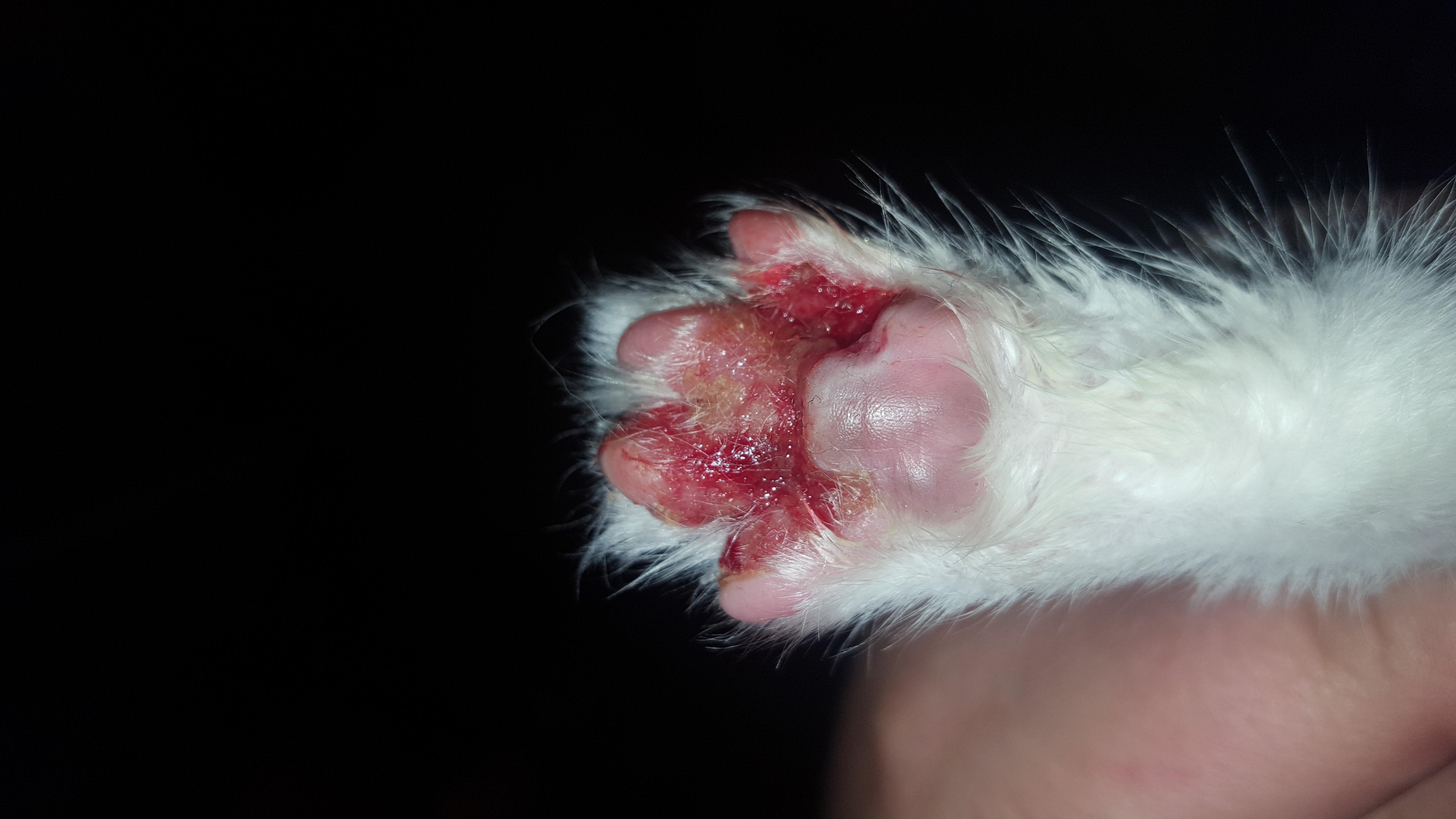 Question details sensitive content