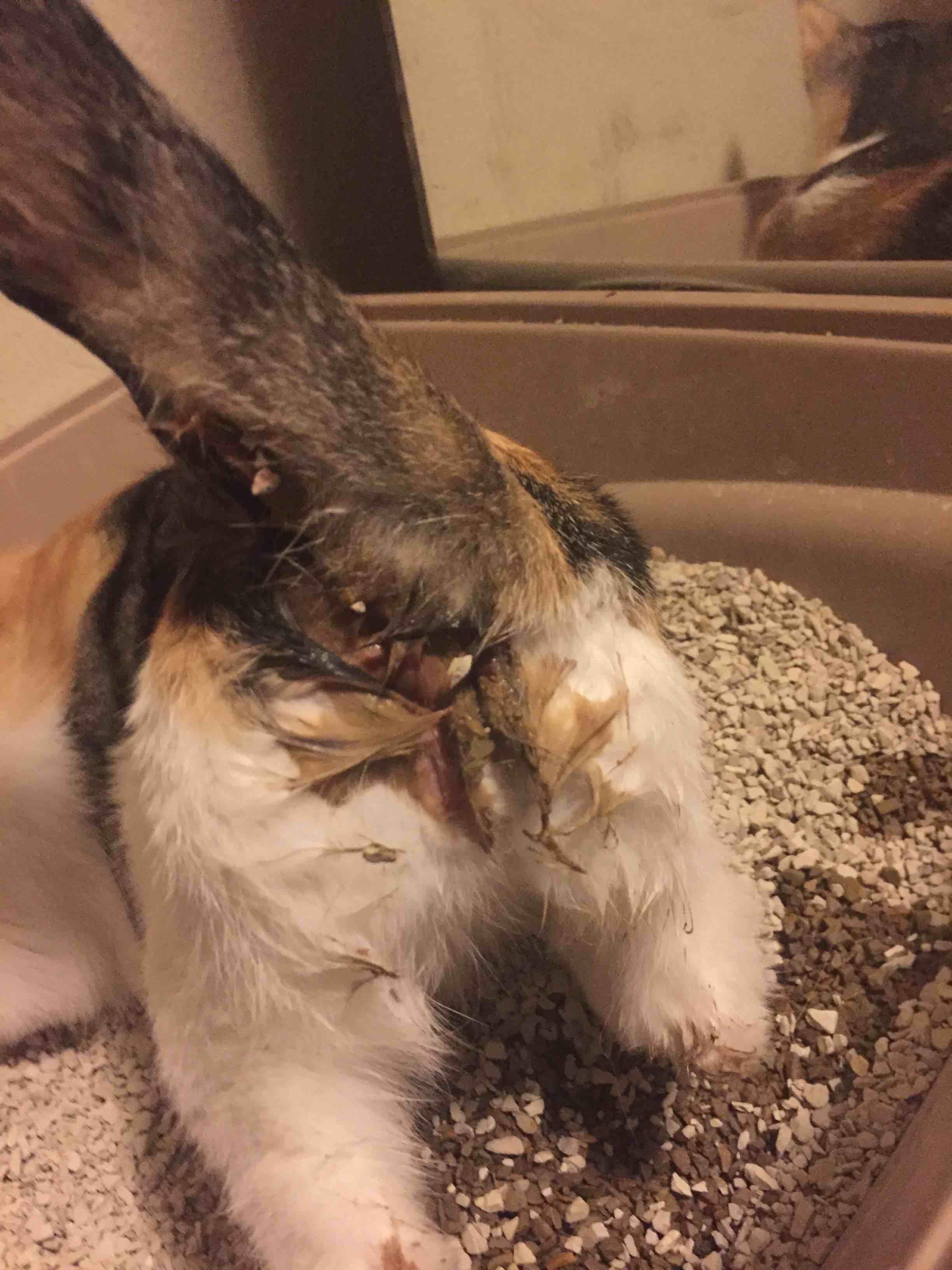 Question details sensitive content