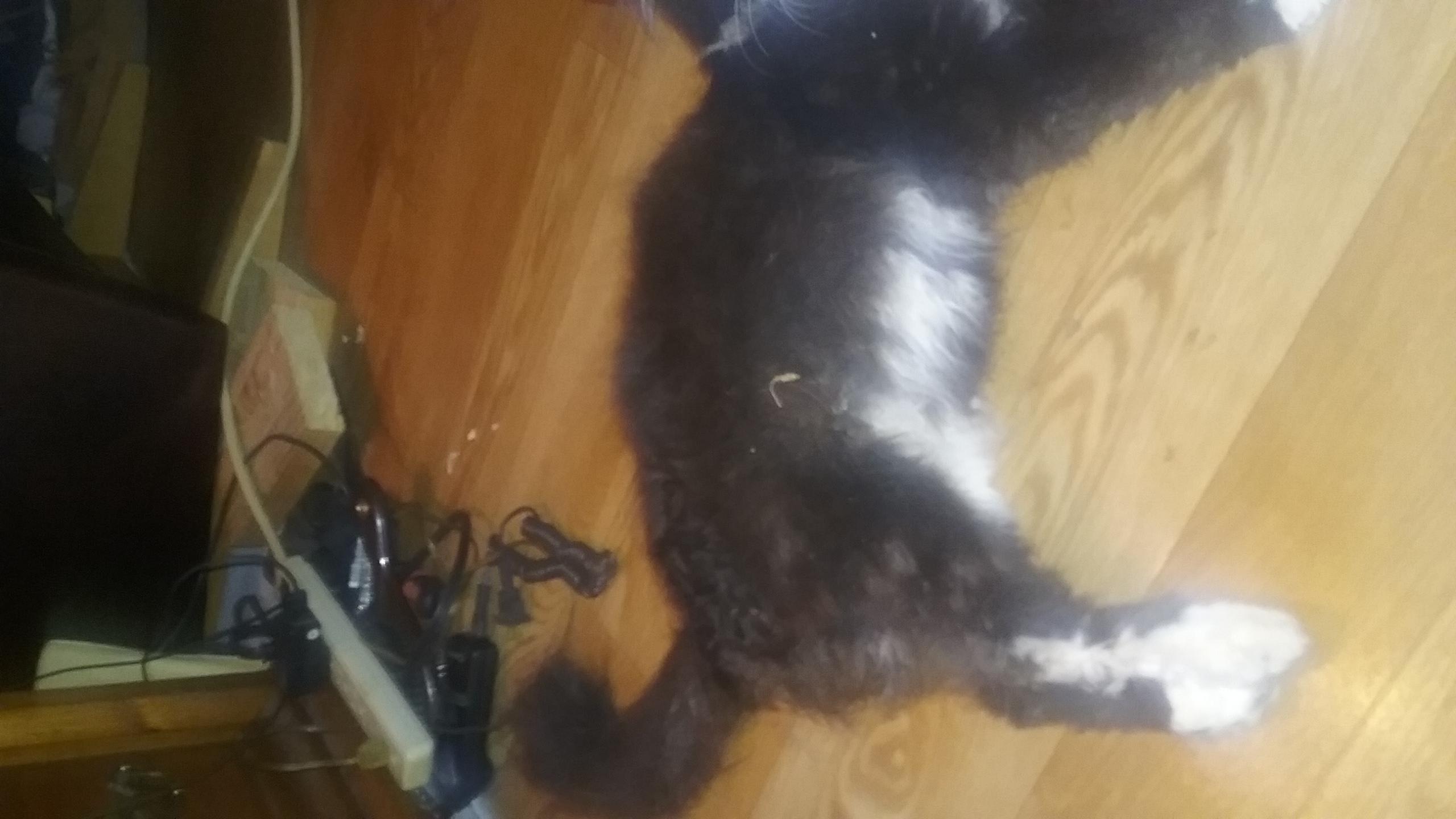 Question details sensitive content