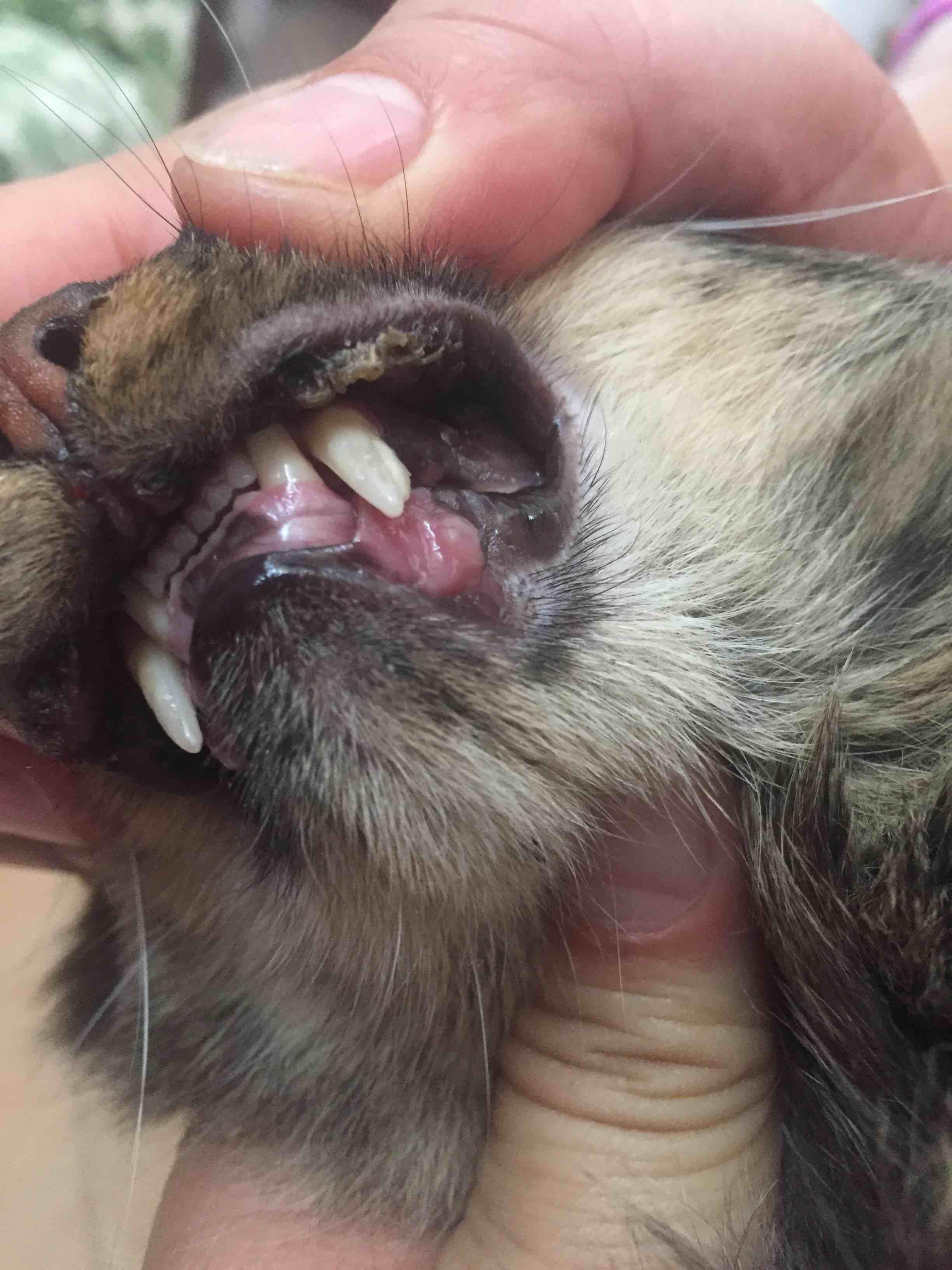 Question details sensitive content