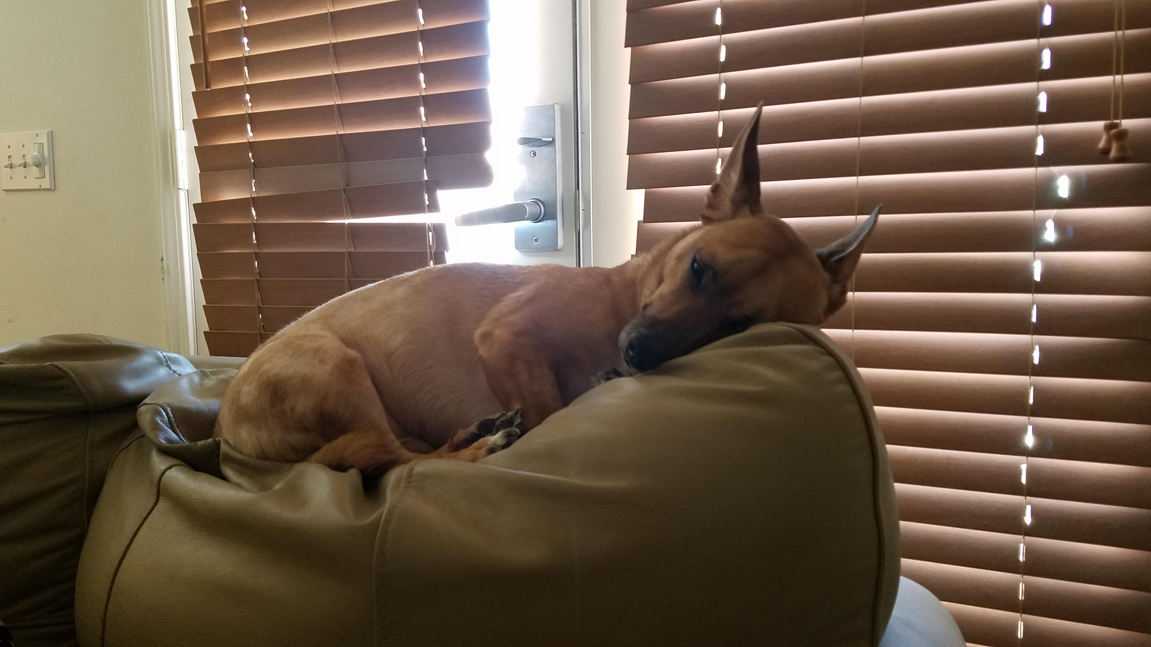 Question details sensitive content