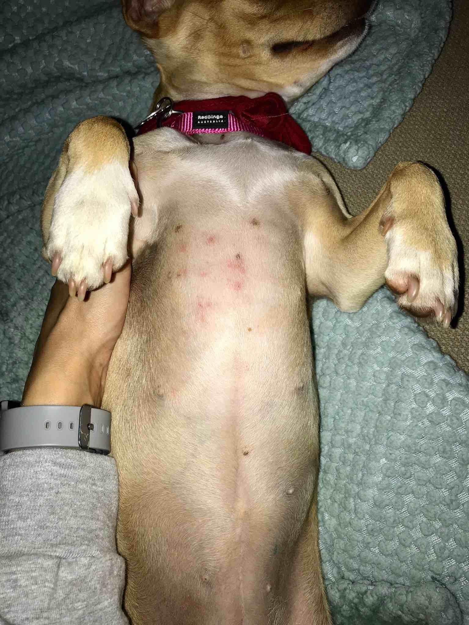 Question details sensitive content