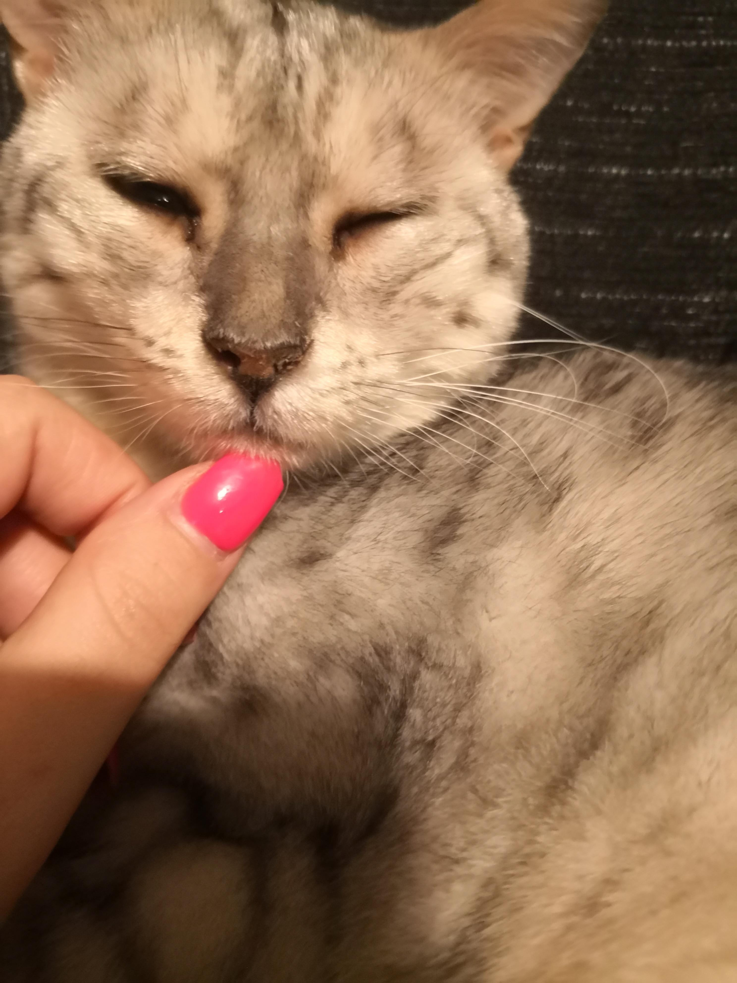 Question details sensitive content