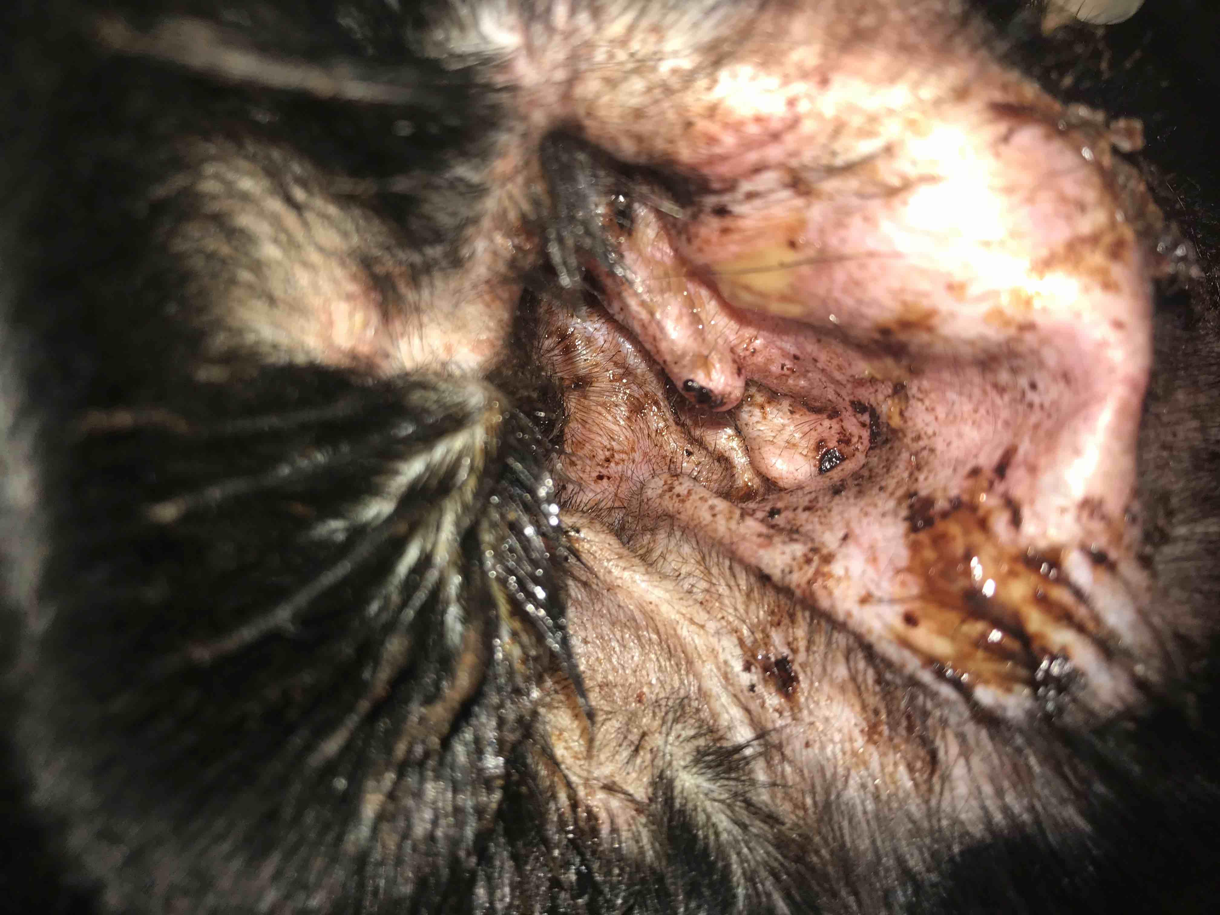 Question details sensitive content