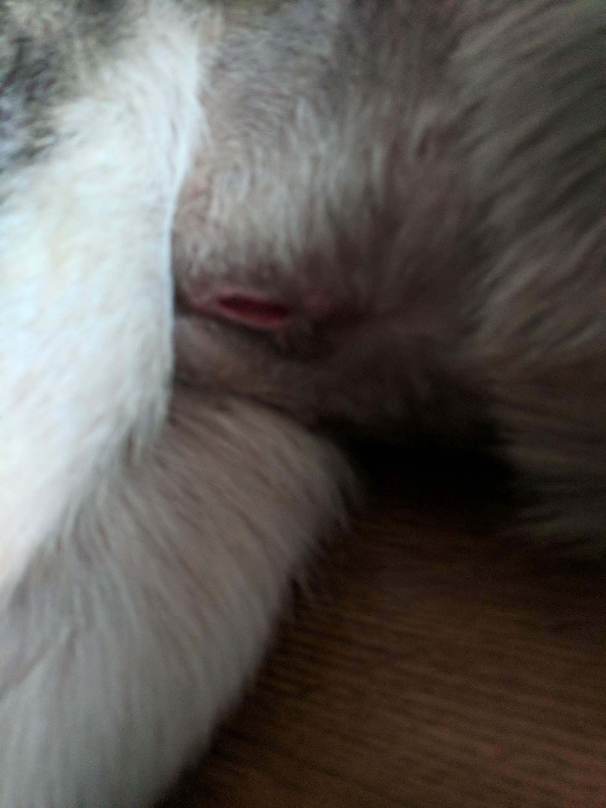 Question details sensitive content