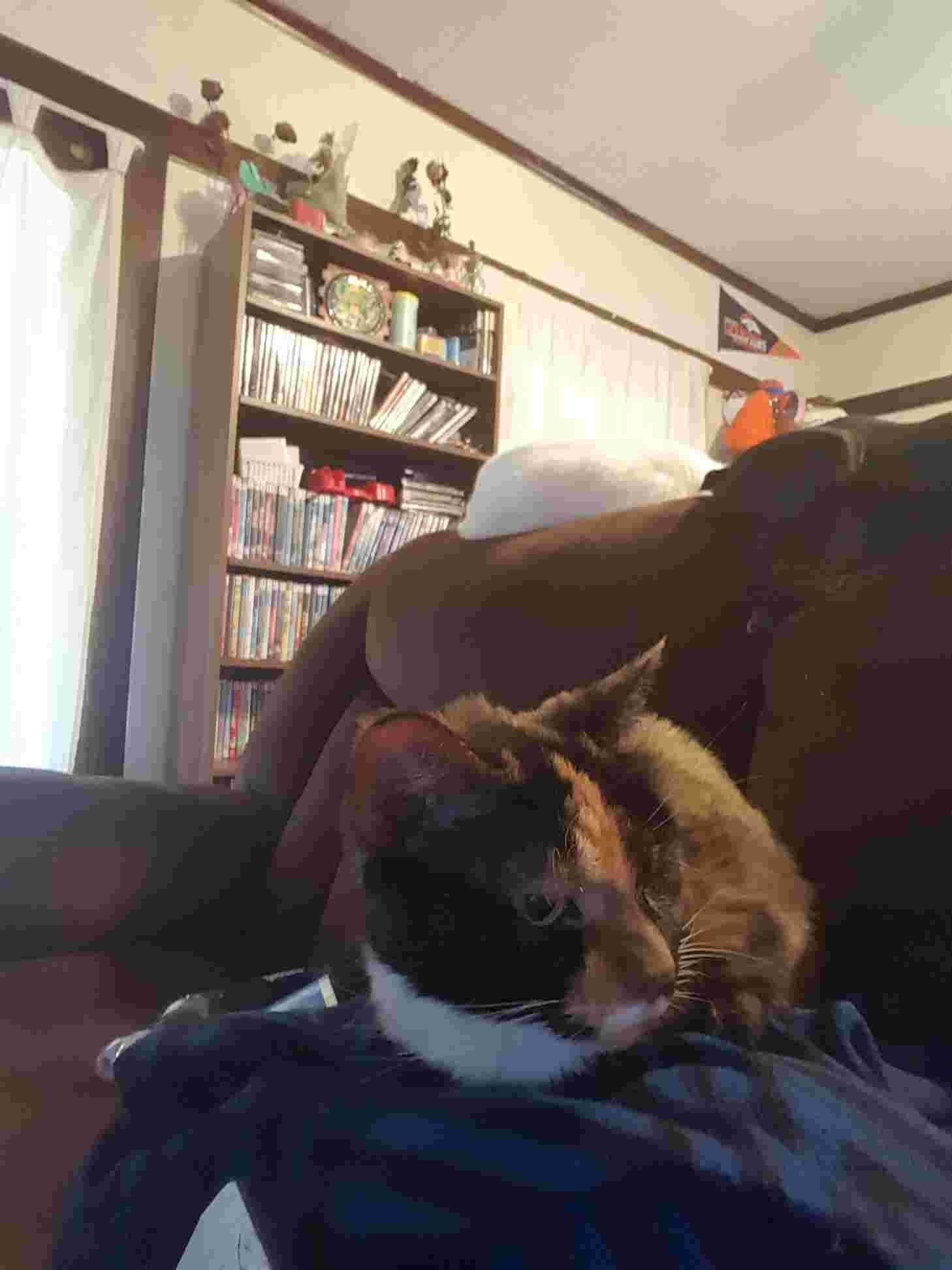 Question details sensitive content