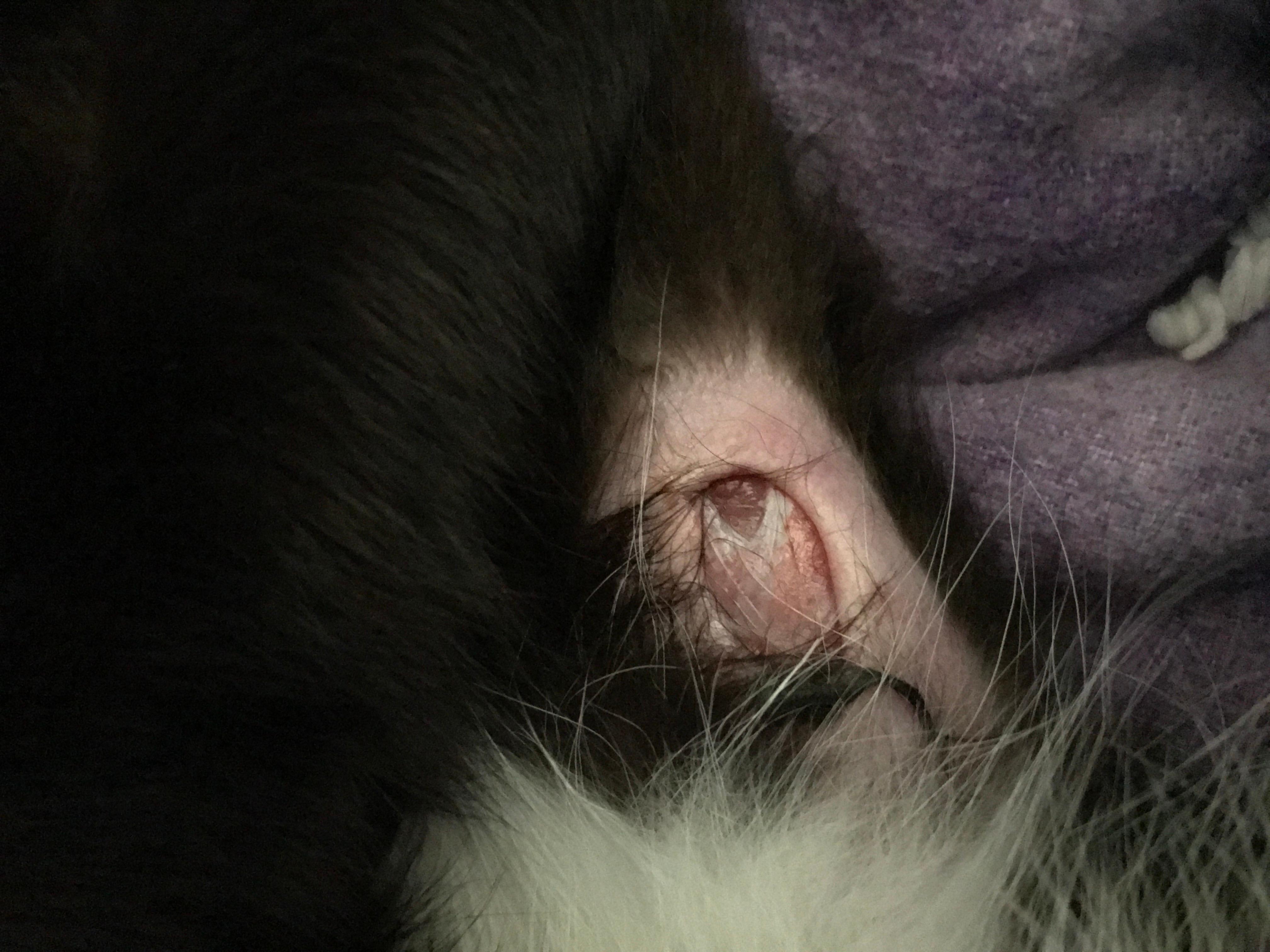 Question details sensitive content