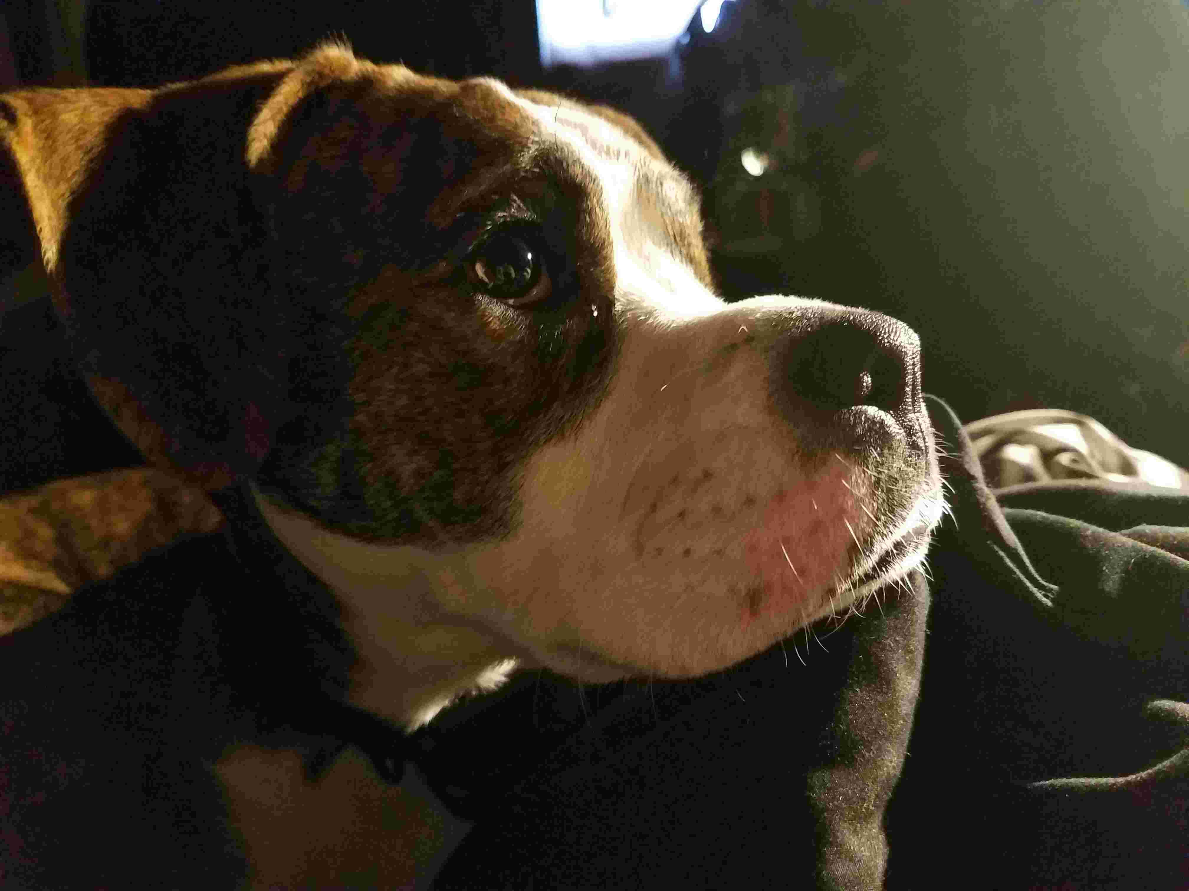 Question details sensitive content