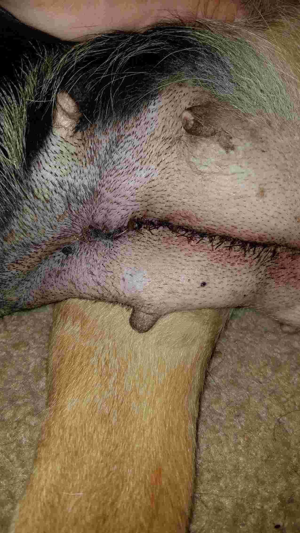 Question details sensitive content