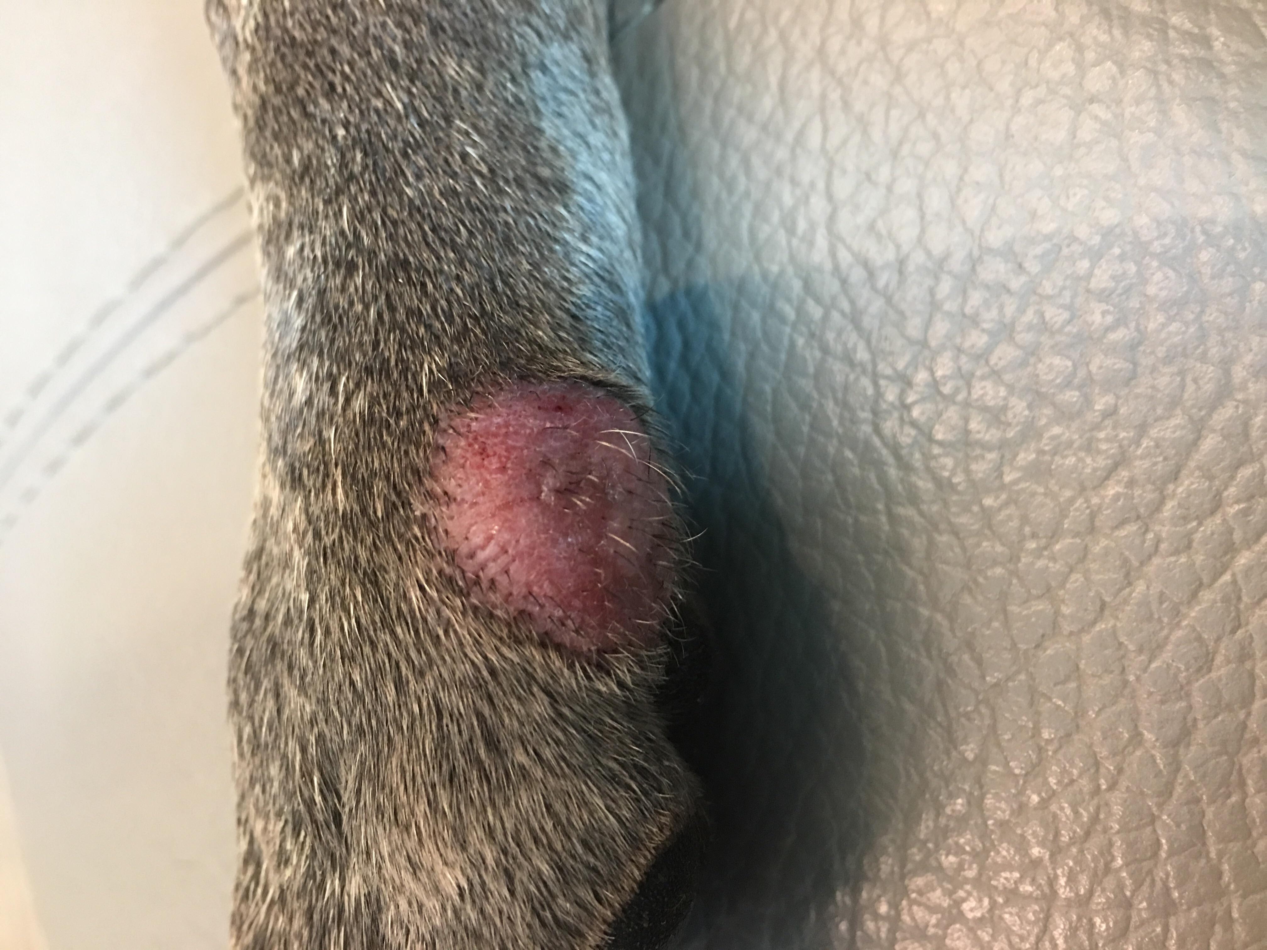 Question details sensitive content