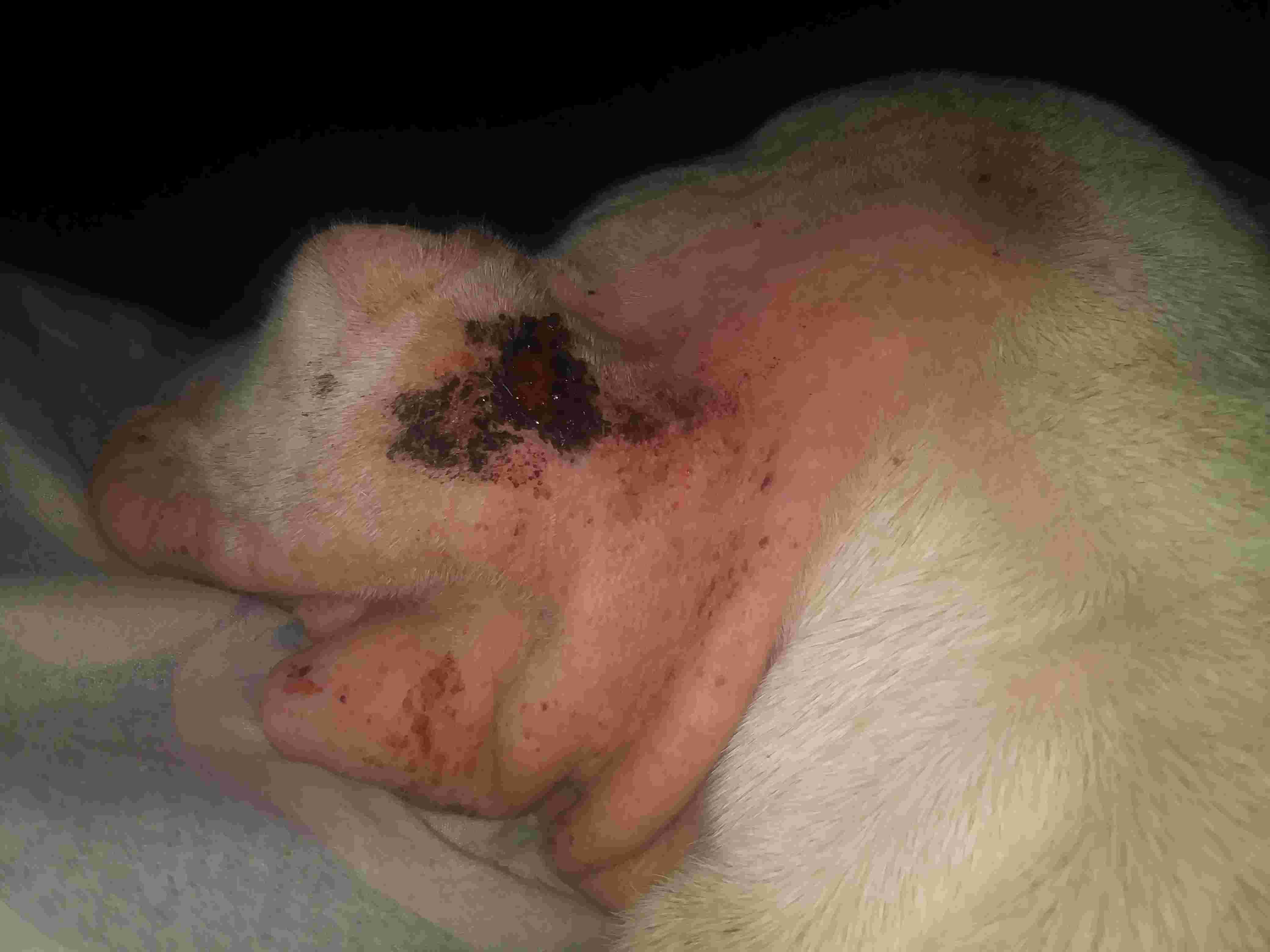 Question details sensitive content