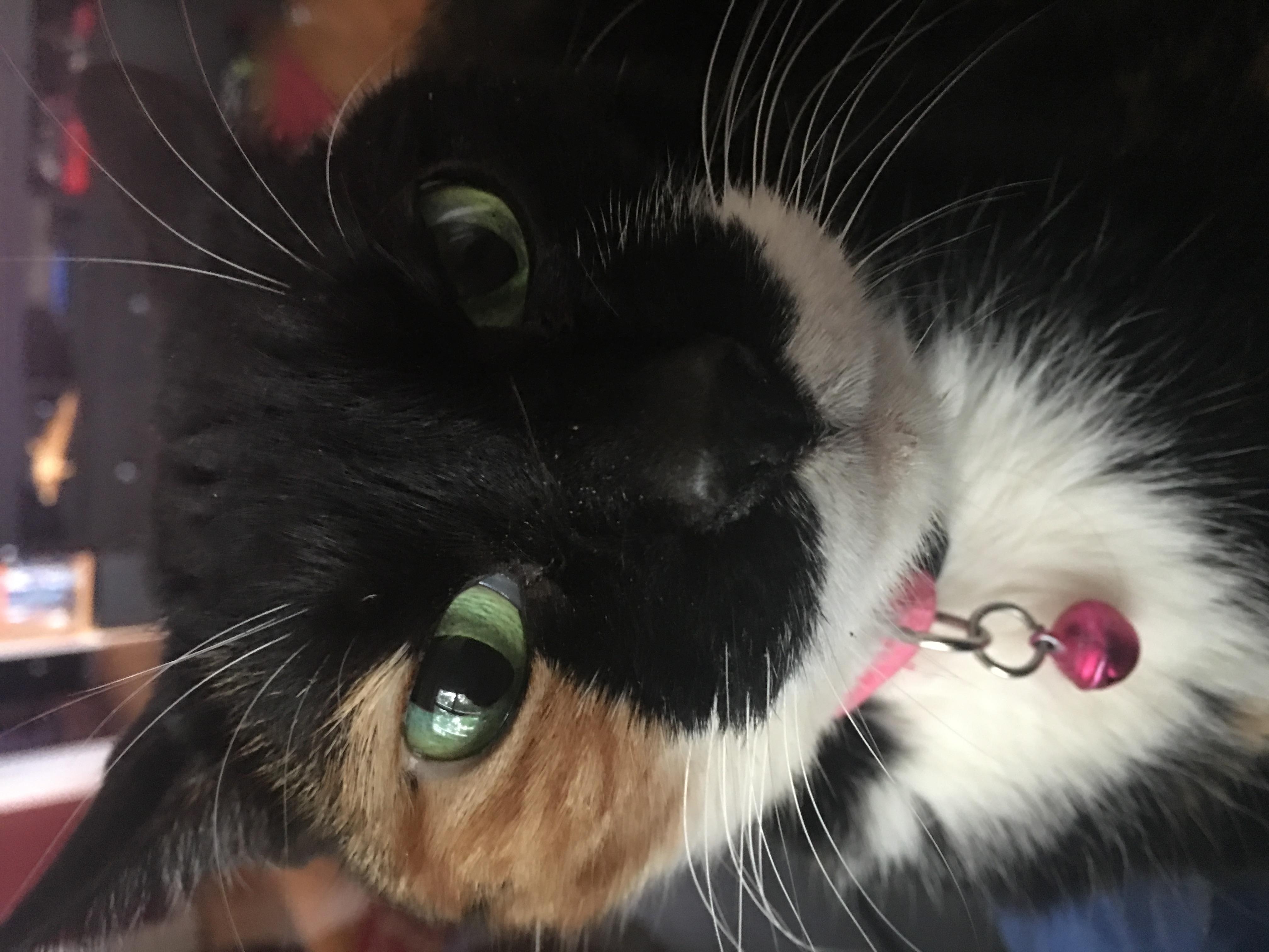 Question details sensitive content