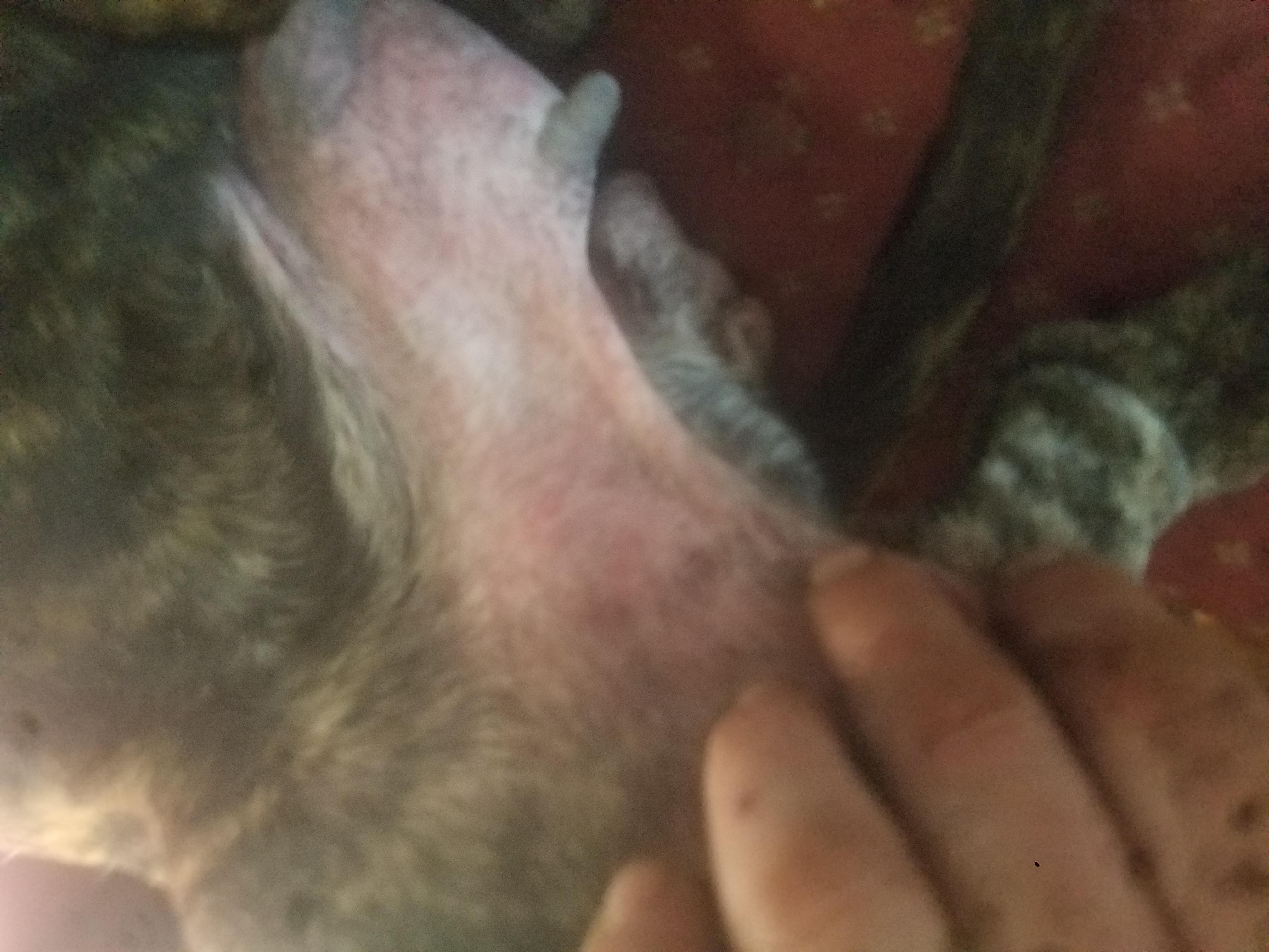 Question details sensitive content