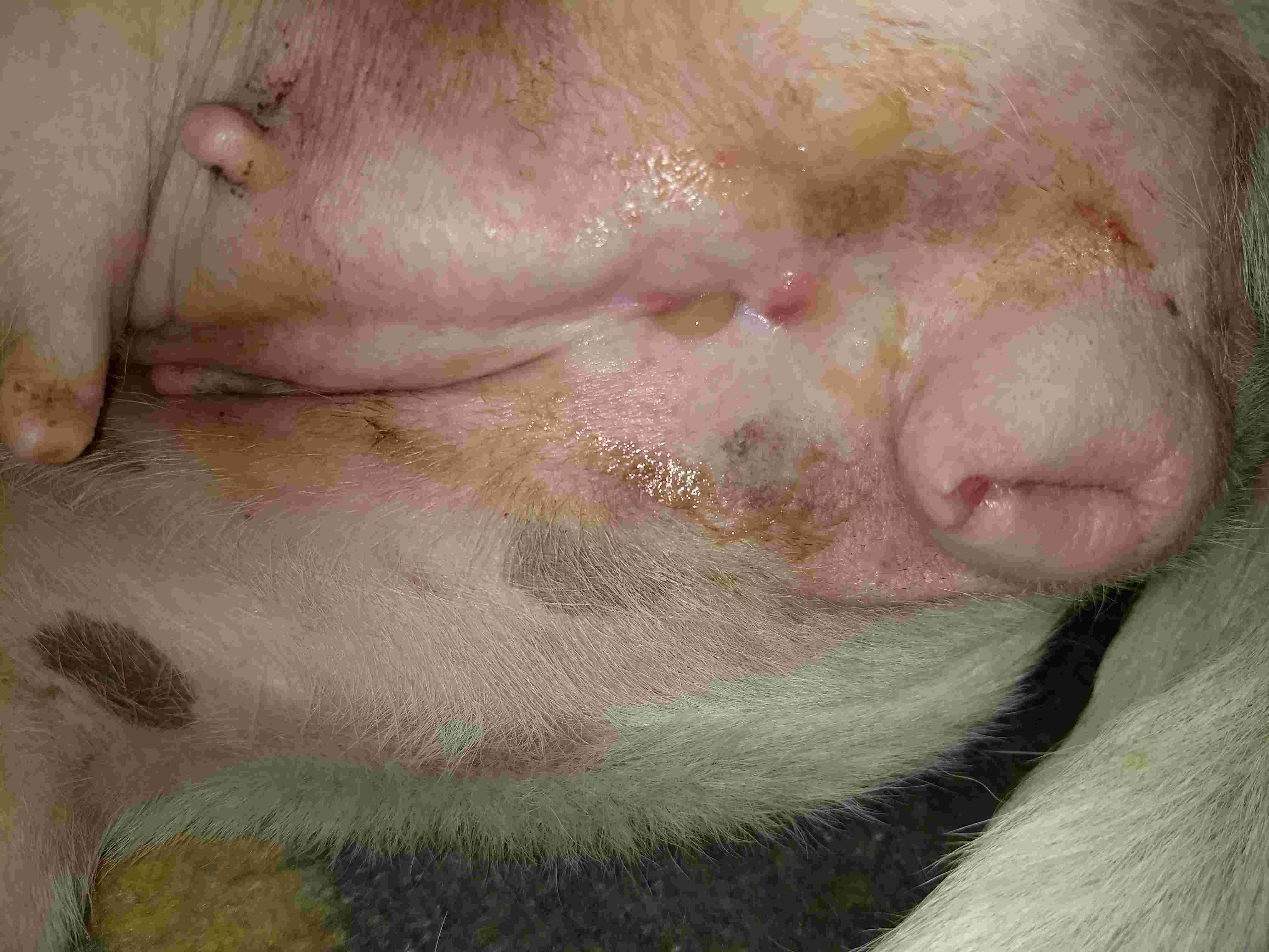 Question details sensitive content