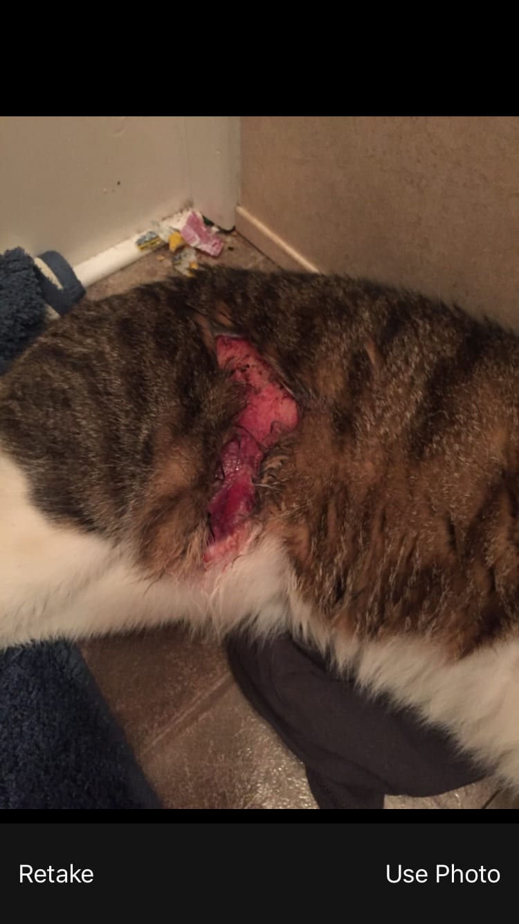 Question details sensitive content