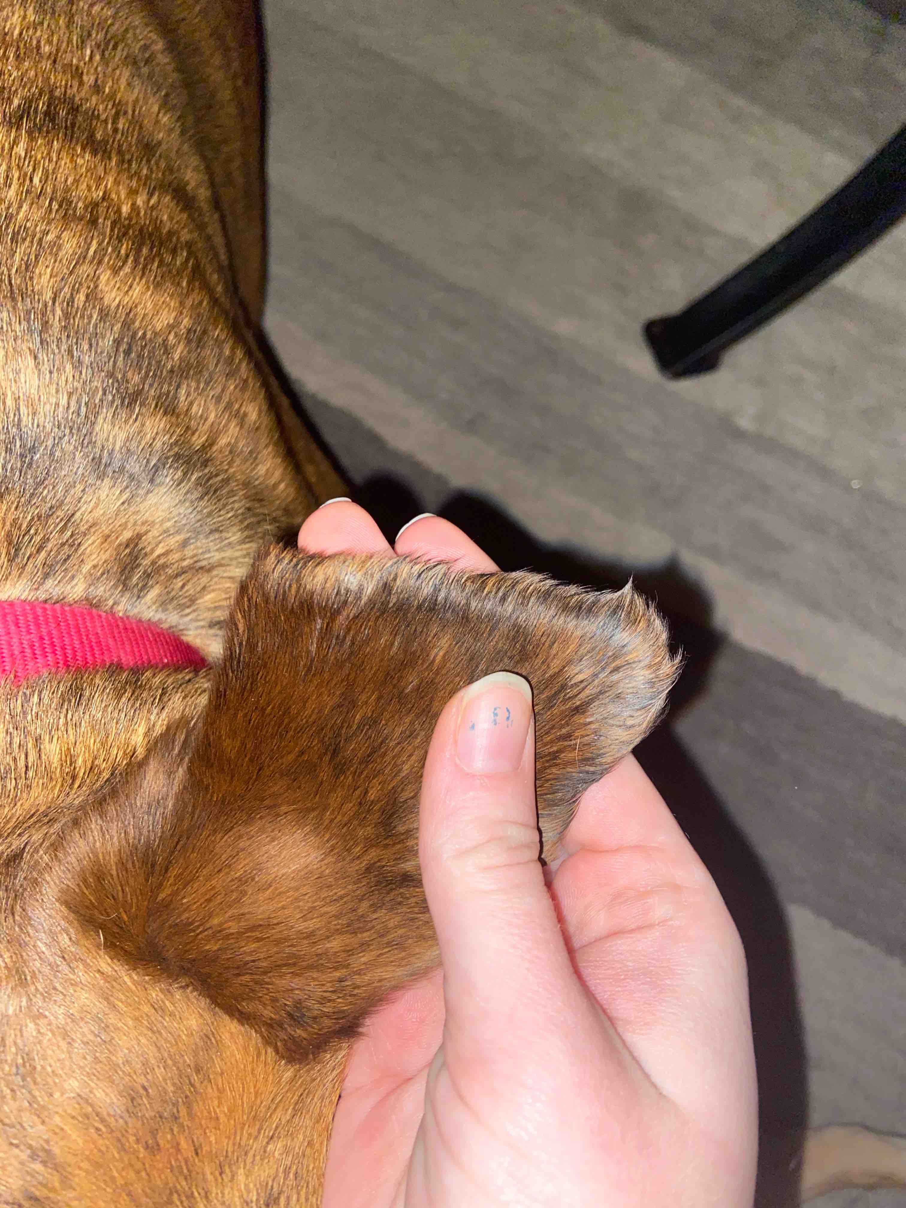 Question details sensitive content