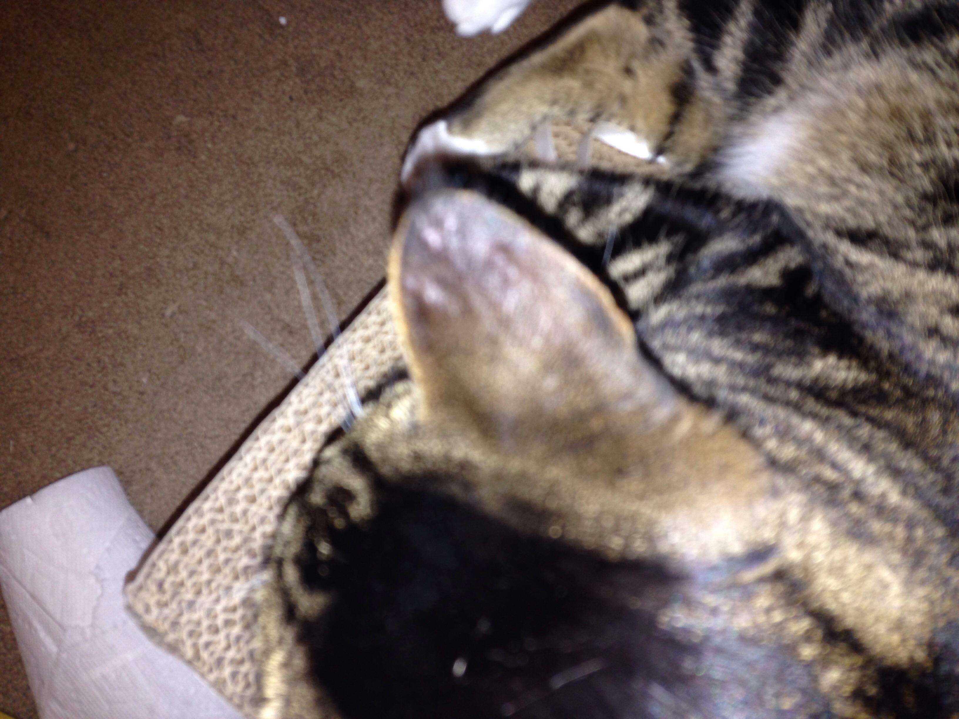 Question details sensitive content