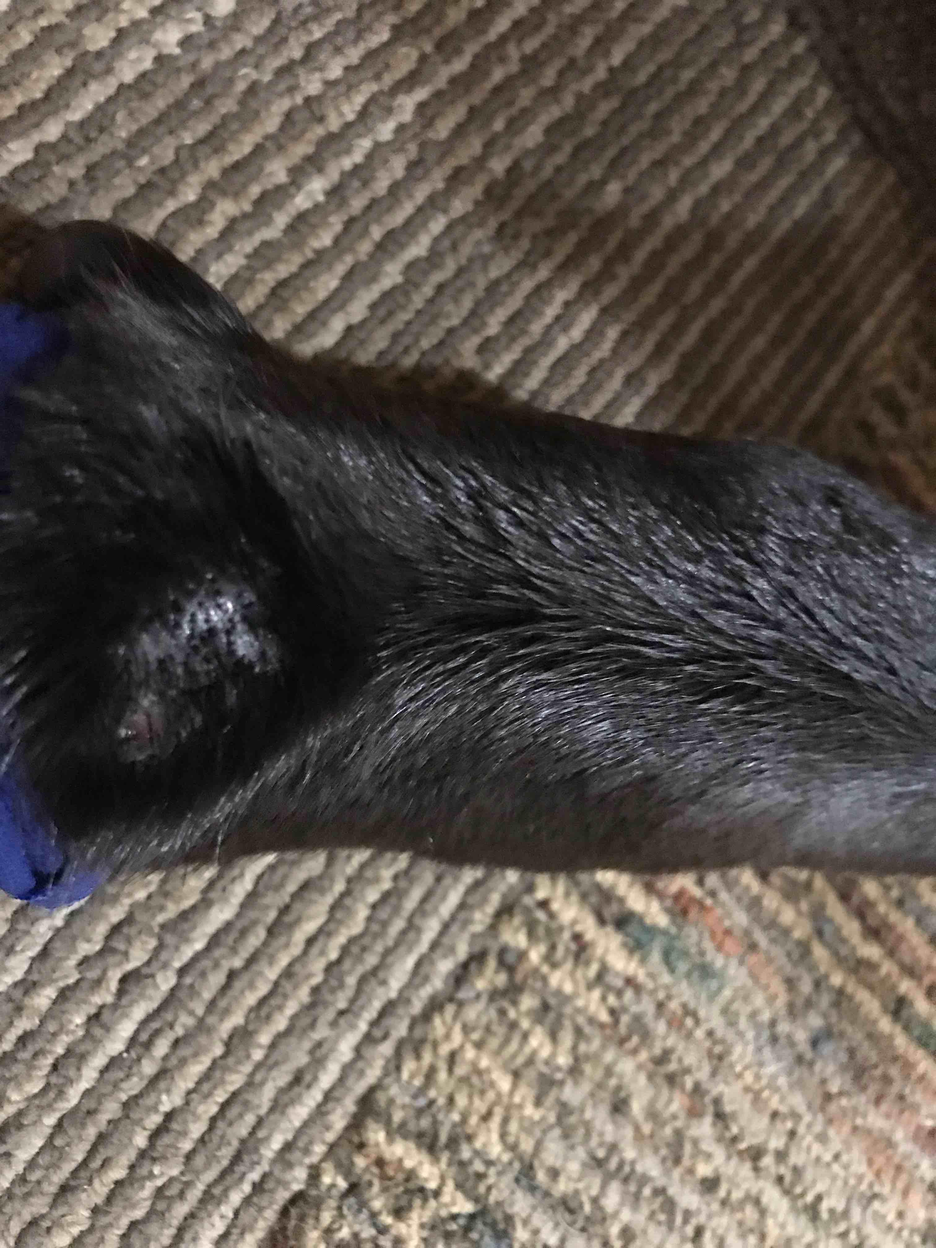 Question details sensitive content