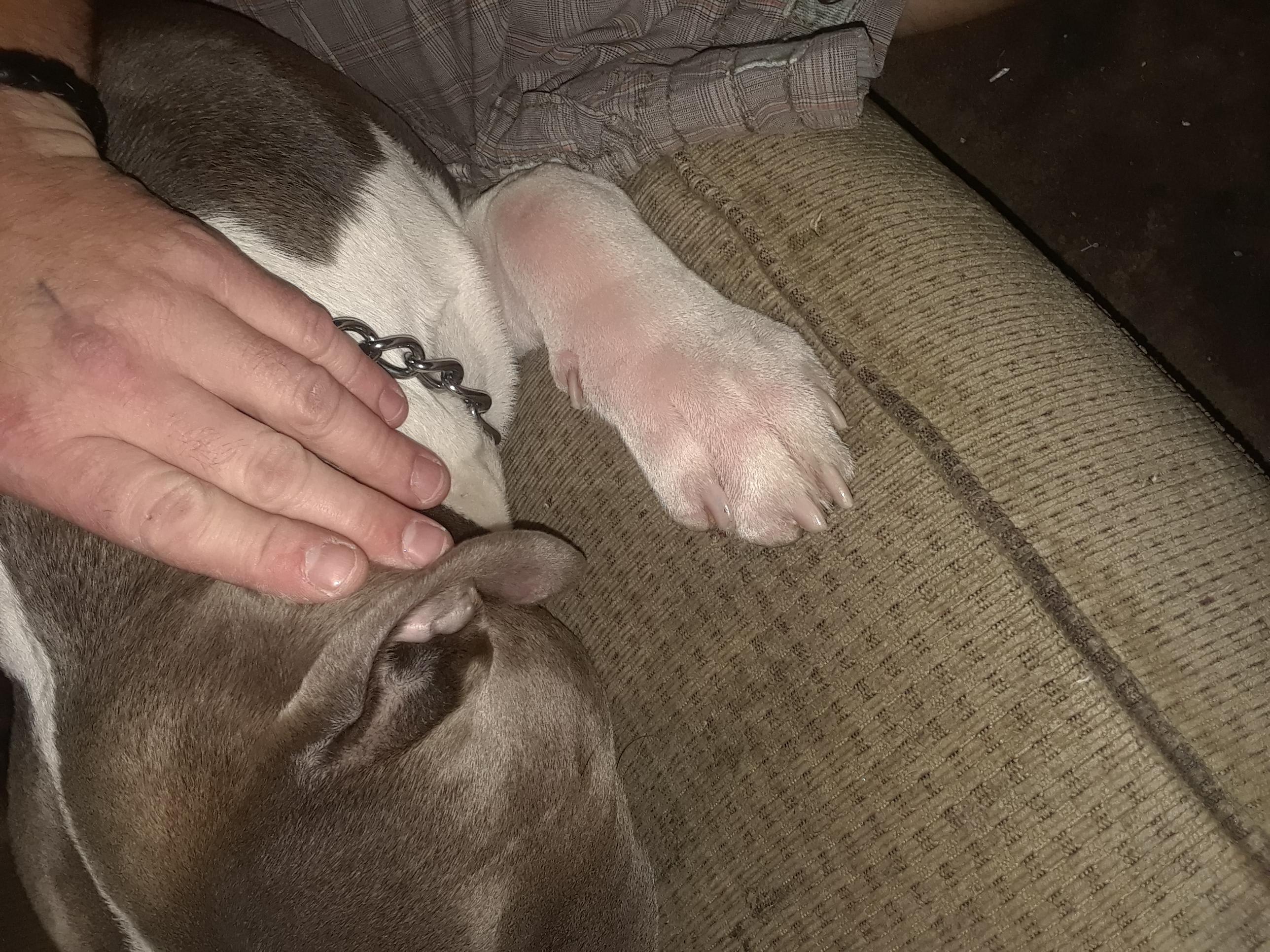 Question details sensitive content