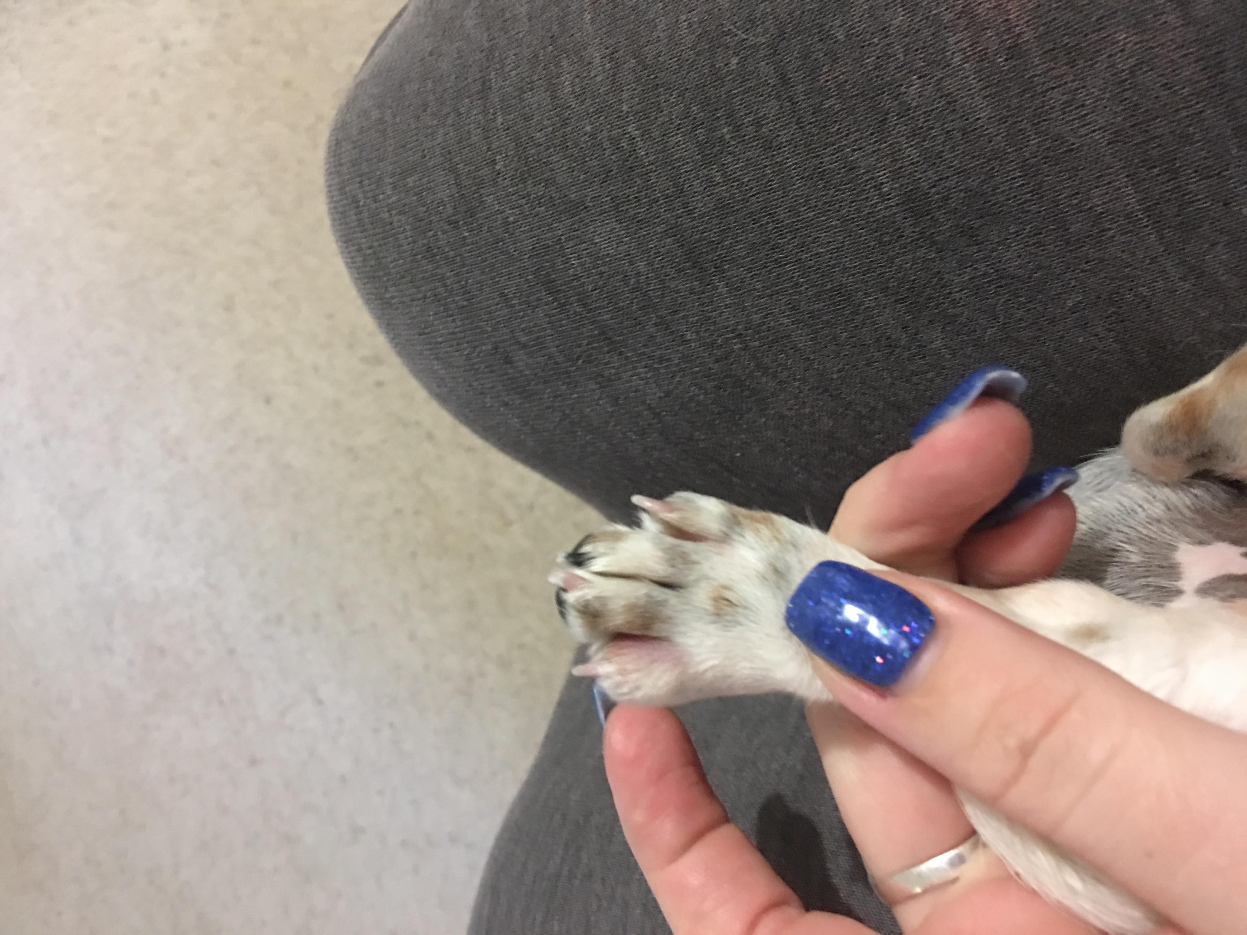 Question details sensitive content