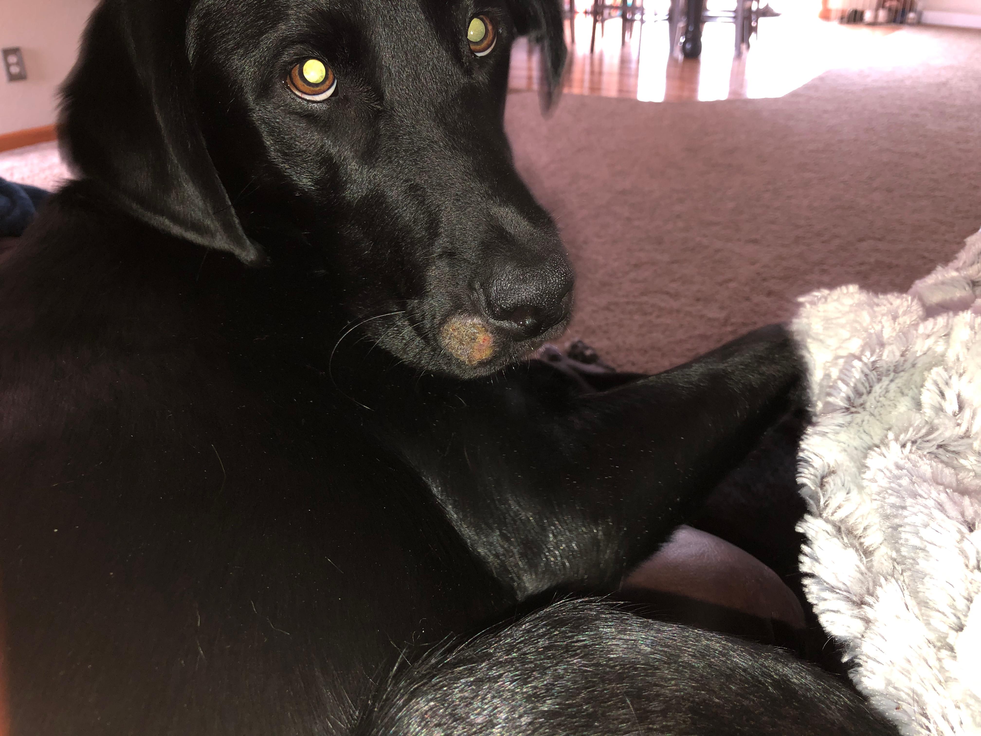 Question details sensitive content