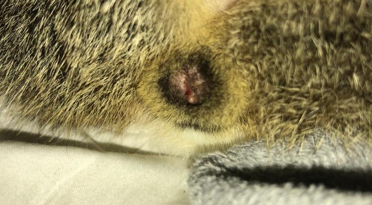 Question details sensitive content