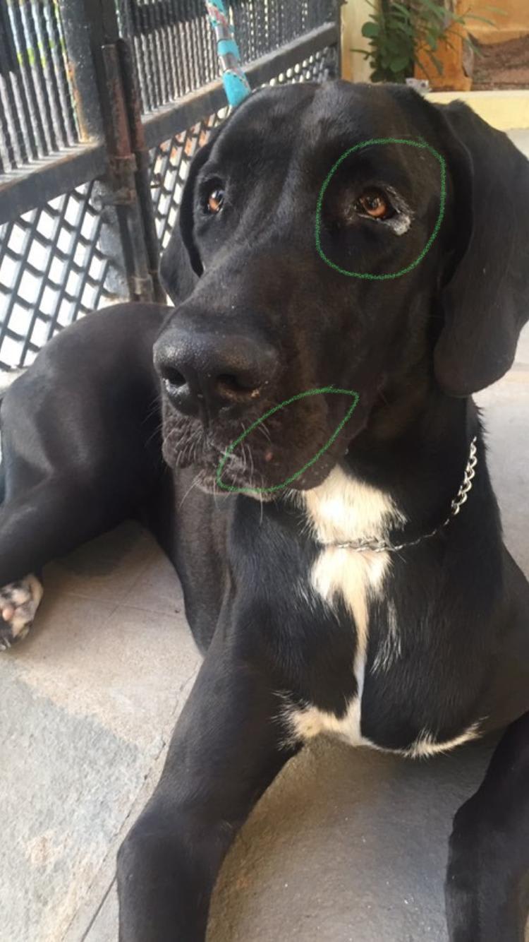 Question details sensitive content