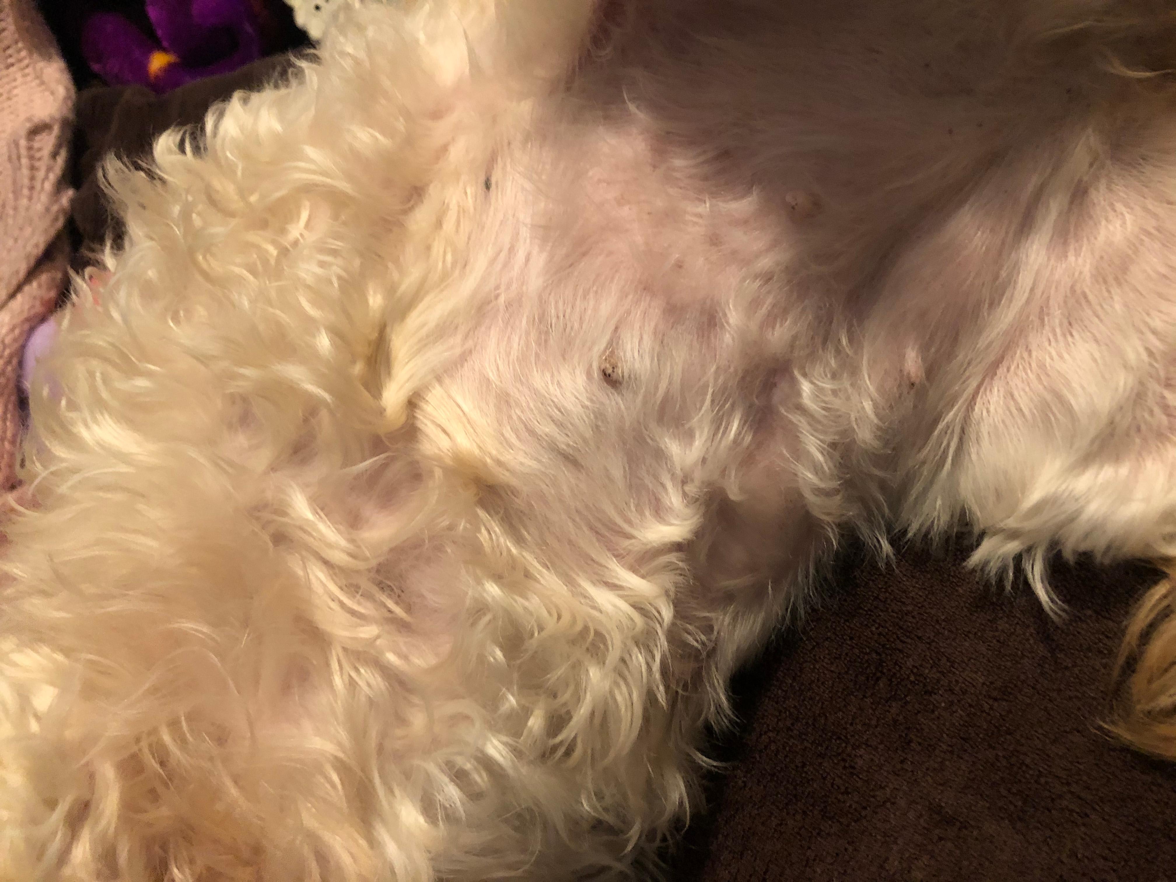 Question details sensitive content