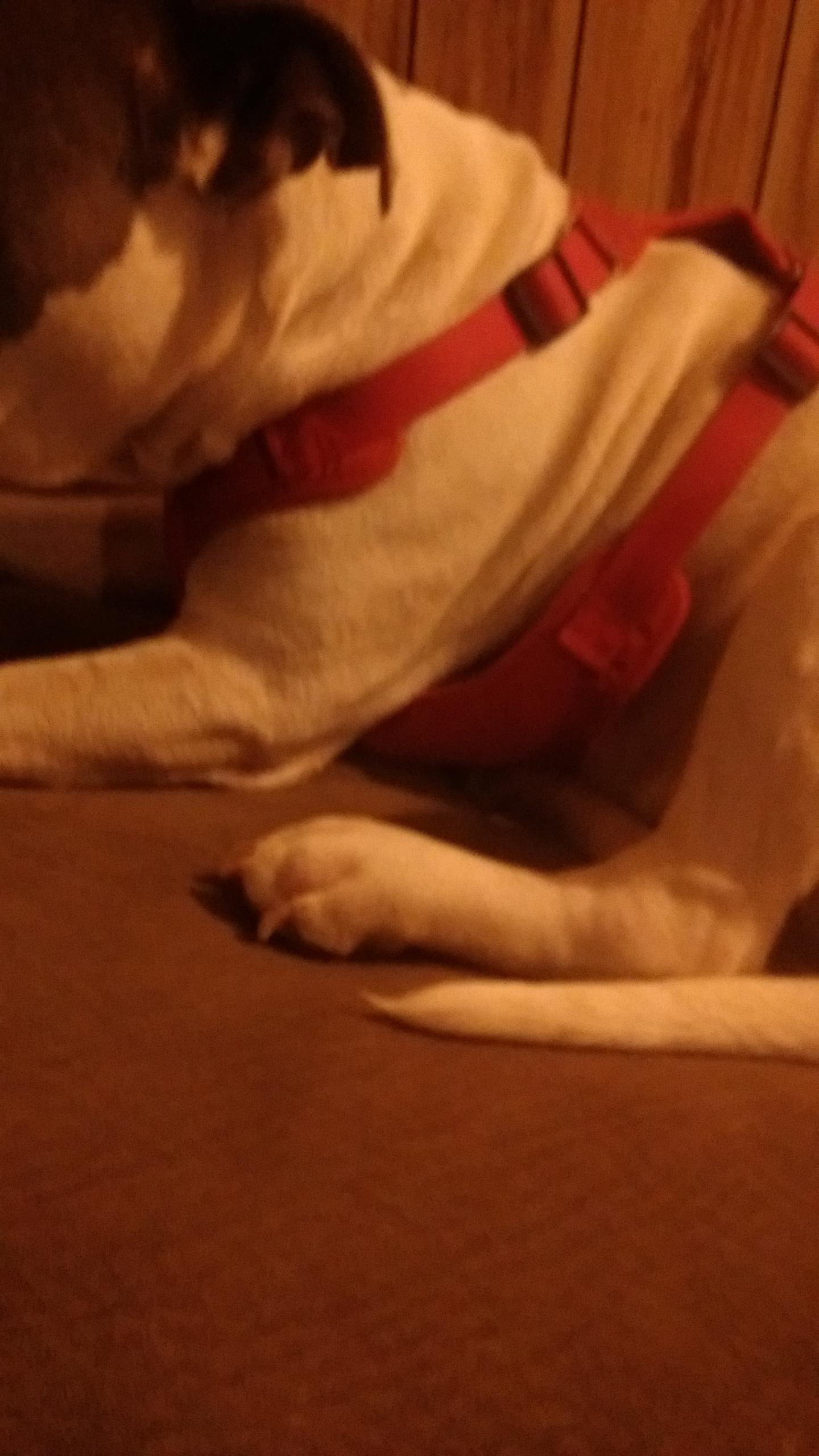 Question details sensitive content