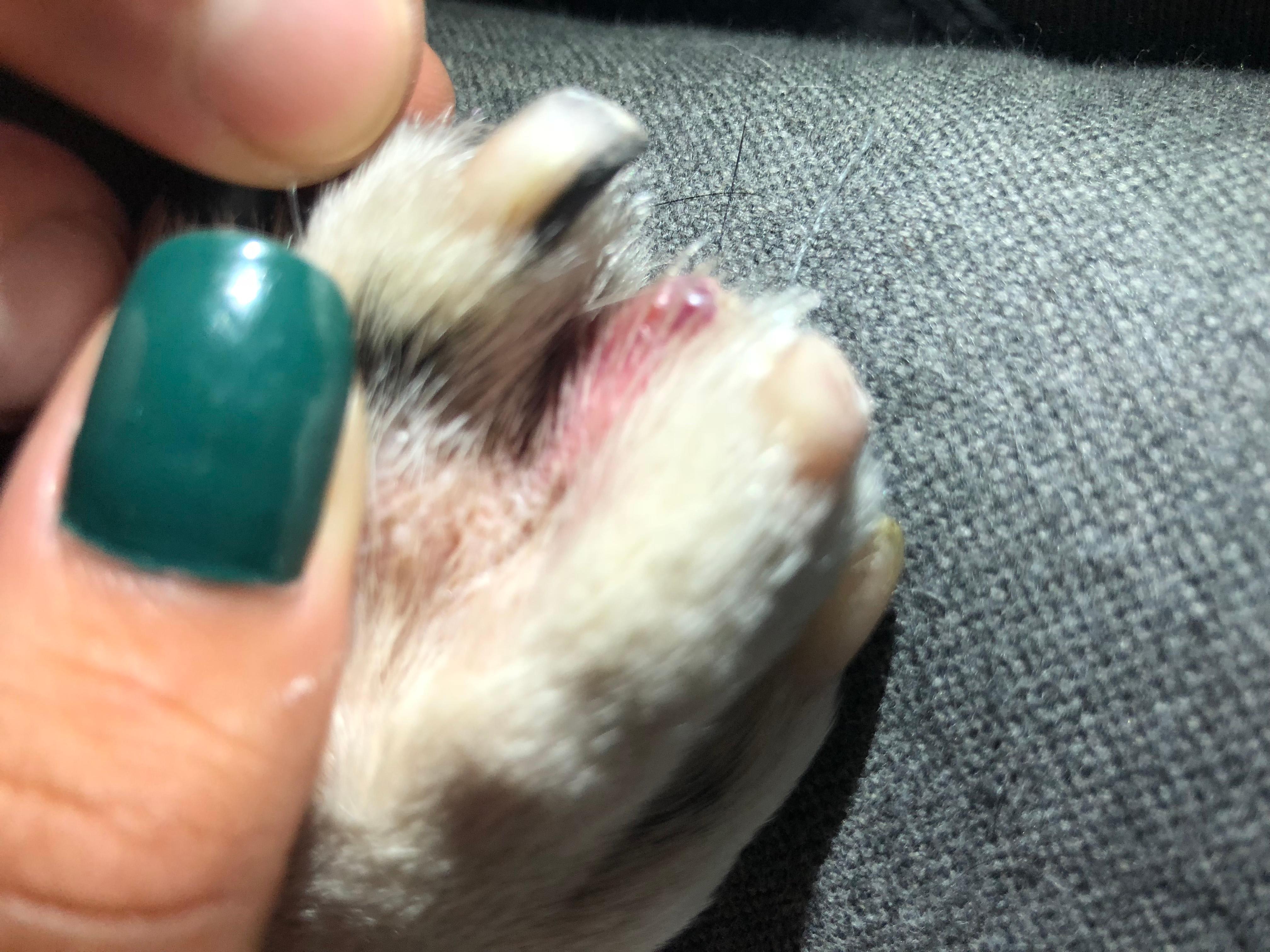 Question details sensitive content