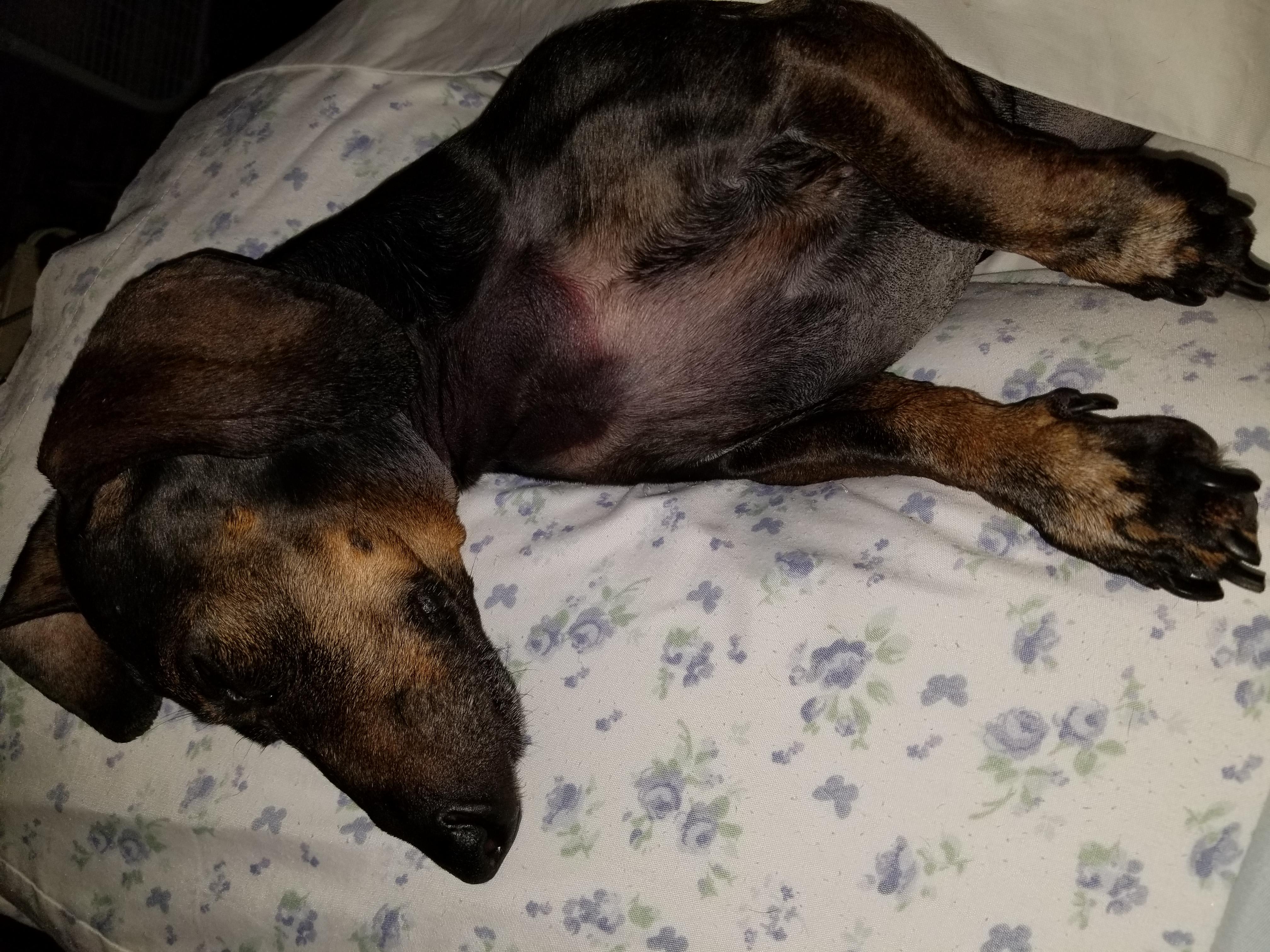 Question details sensitive content