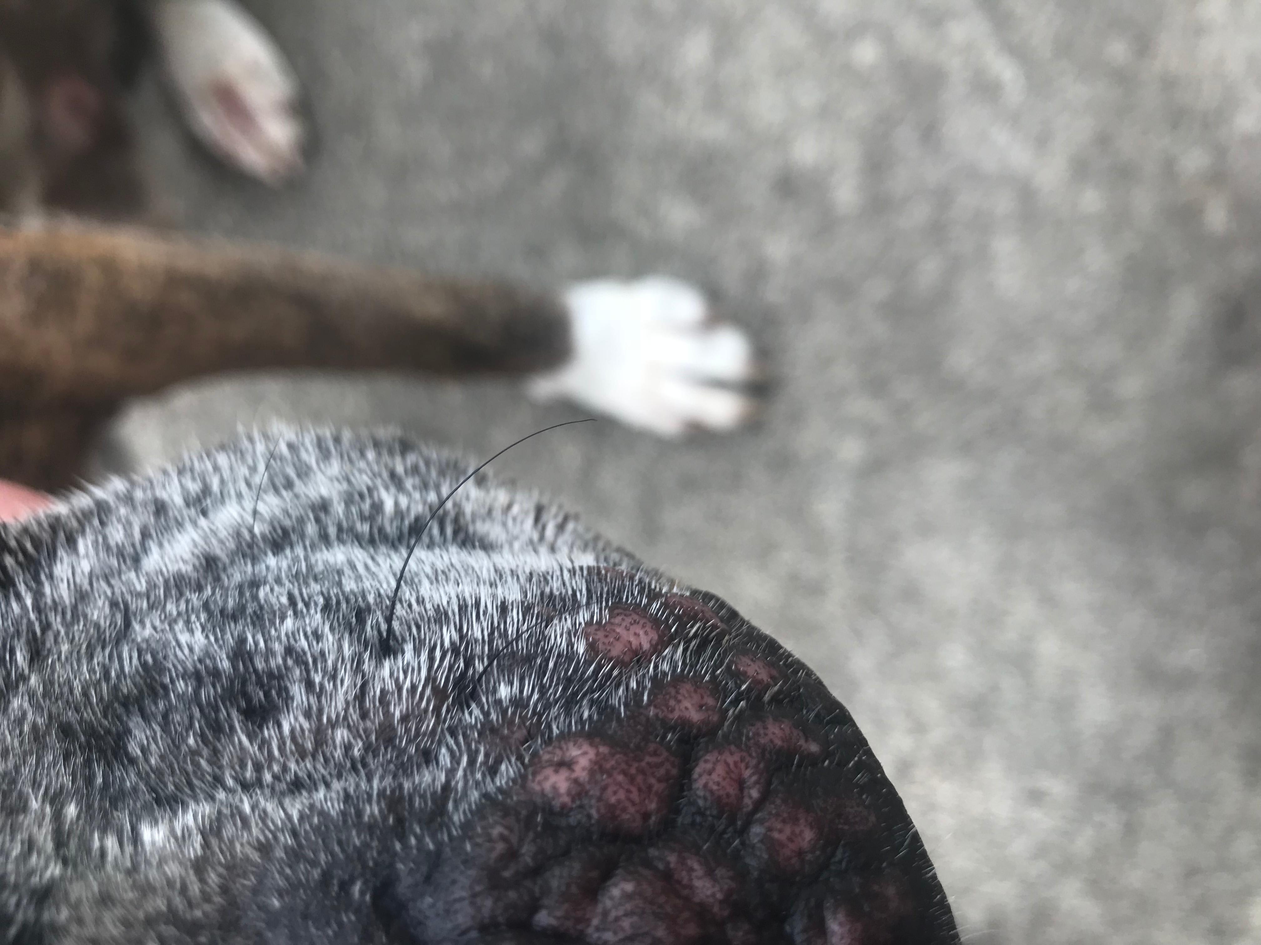 Question details sensitive content