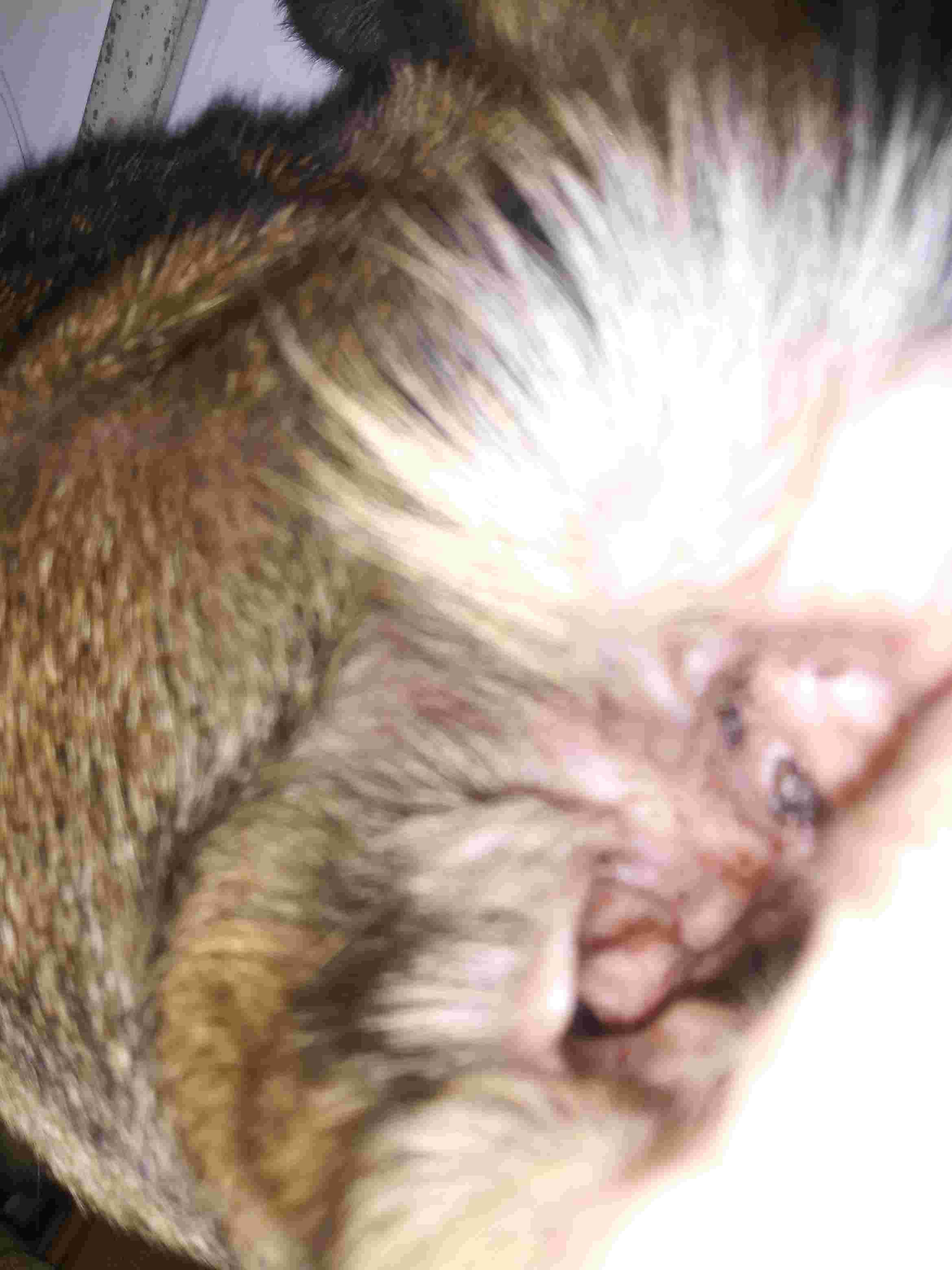 Question details sensitive content