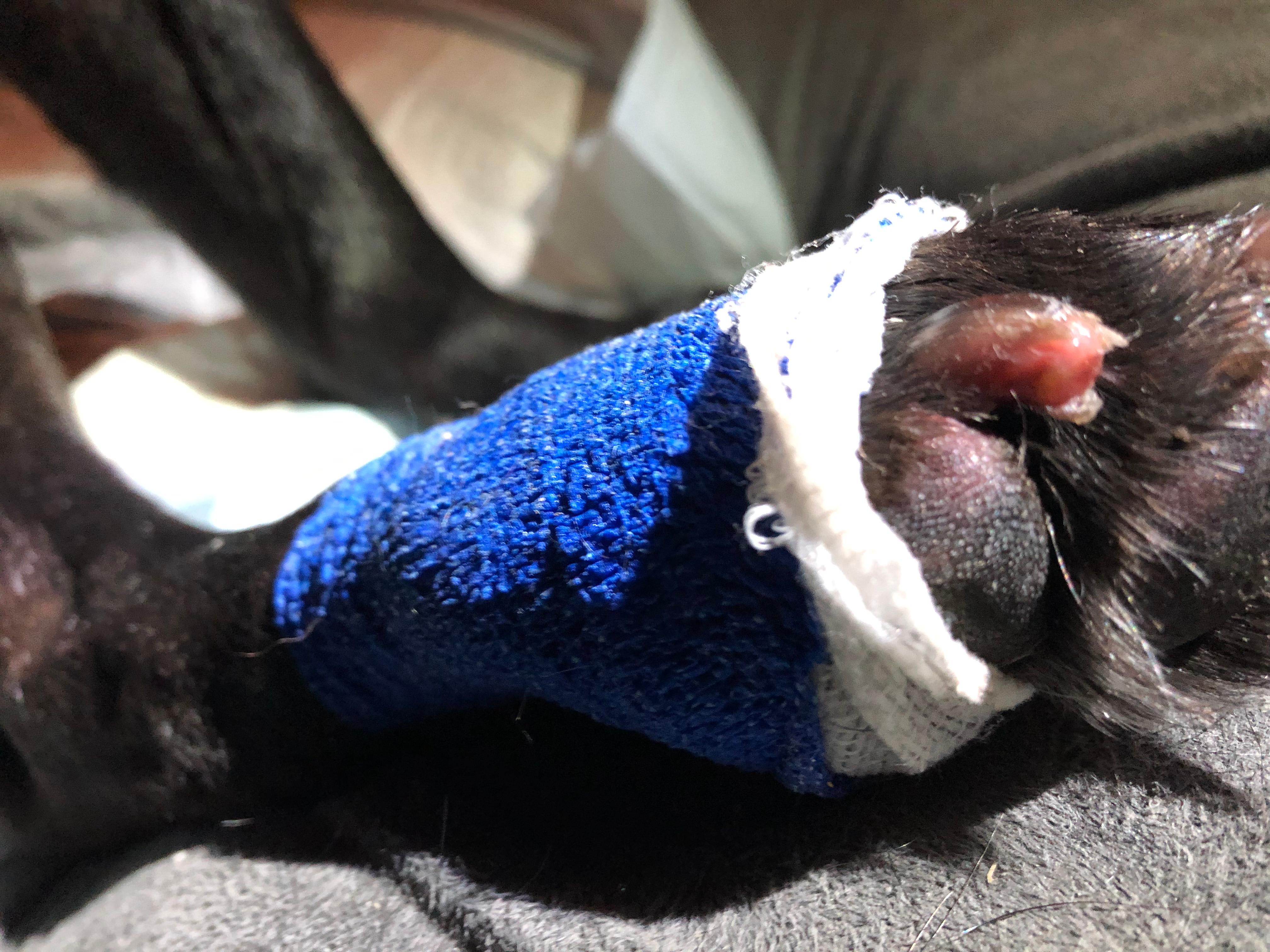 Question details sensitive content