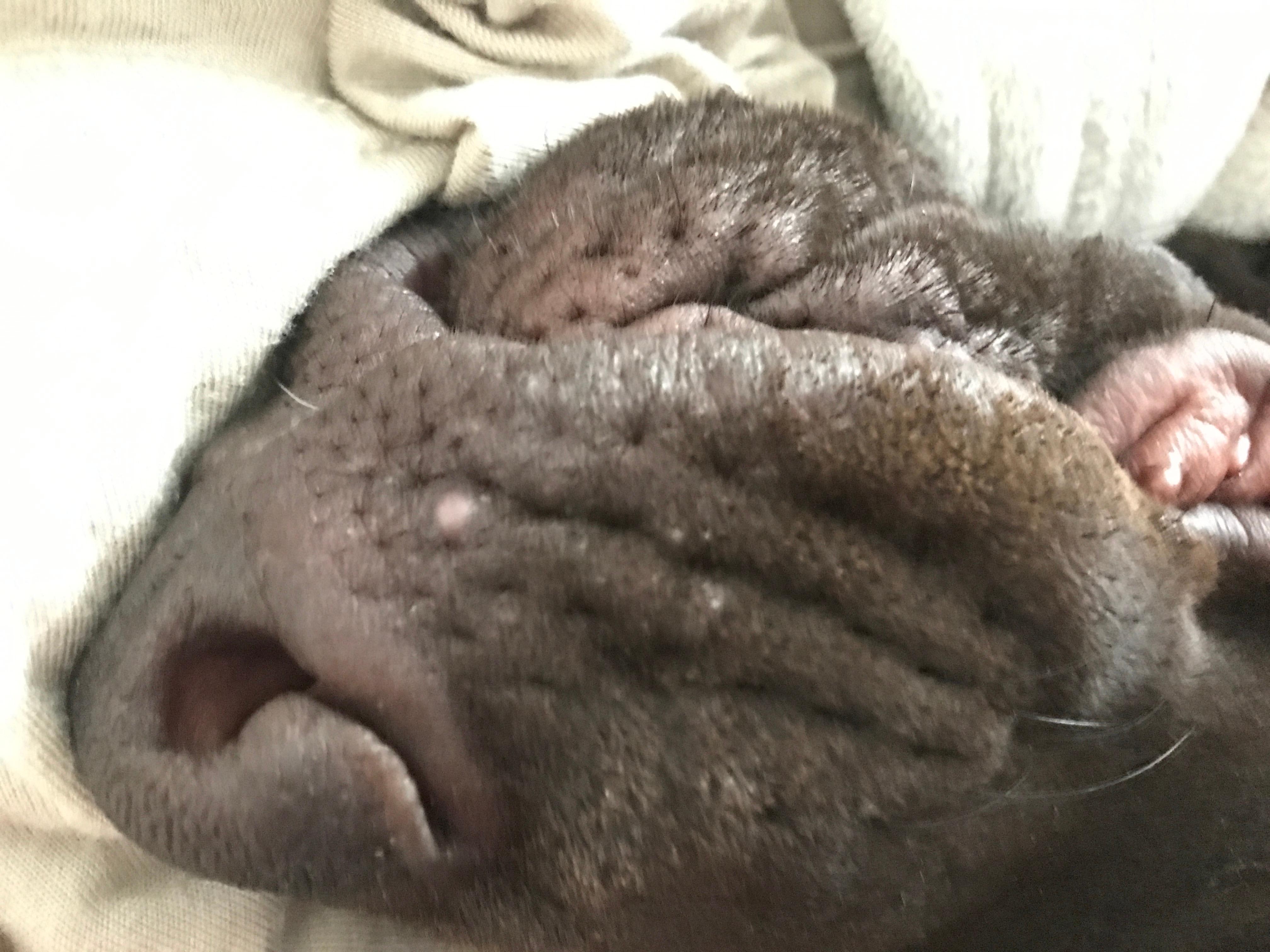 Question details sensitive content