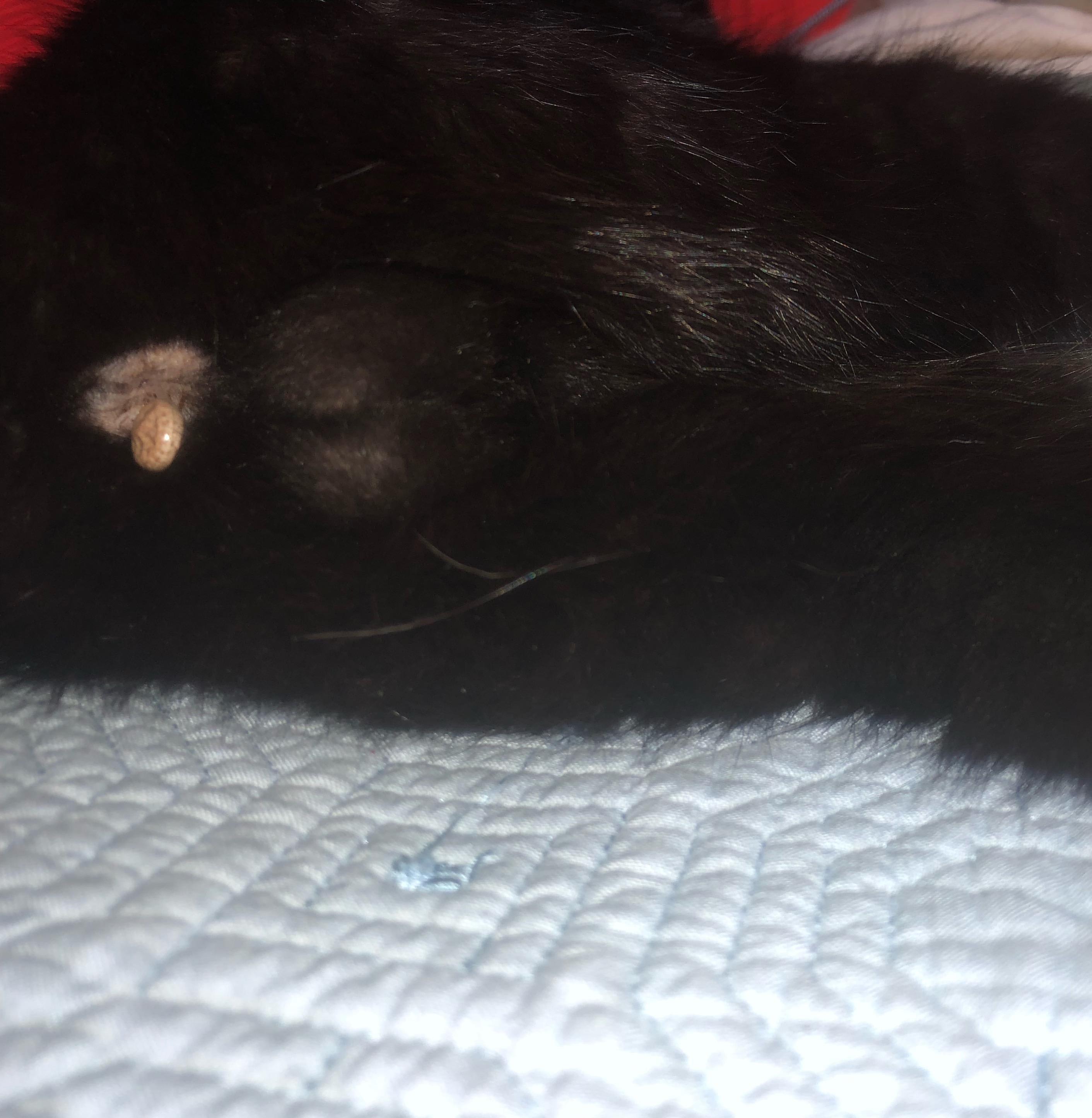 Question details sensitive content