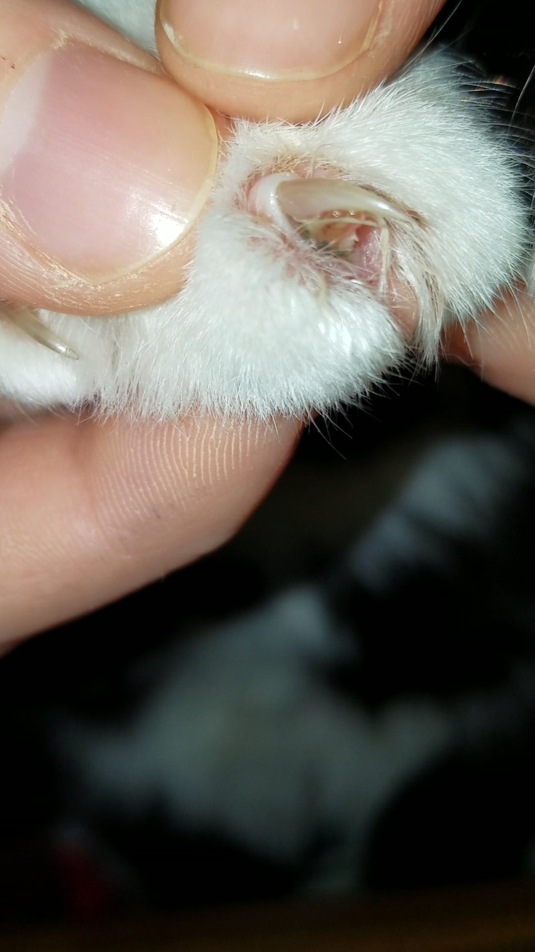 Question details sensitive content