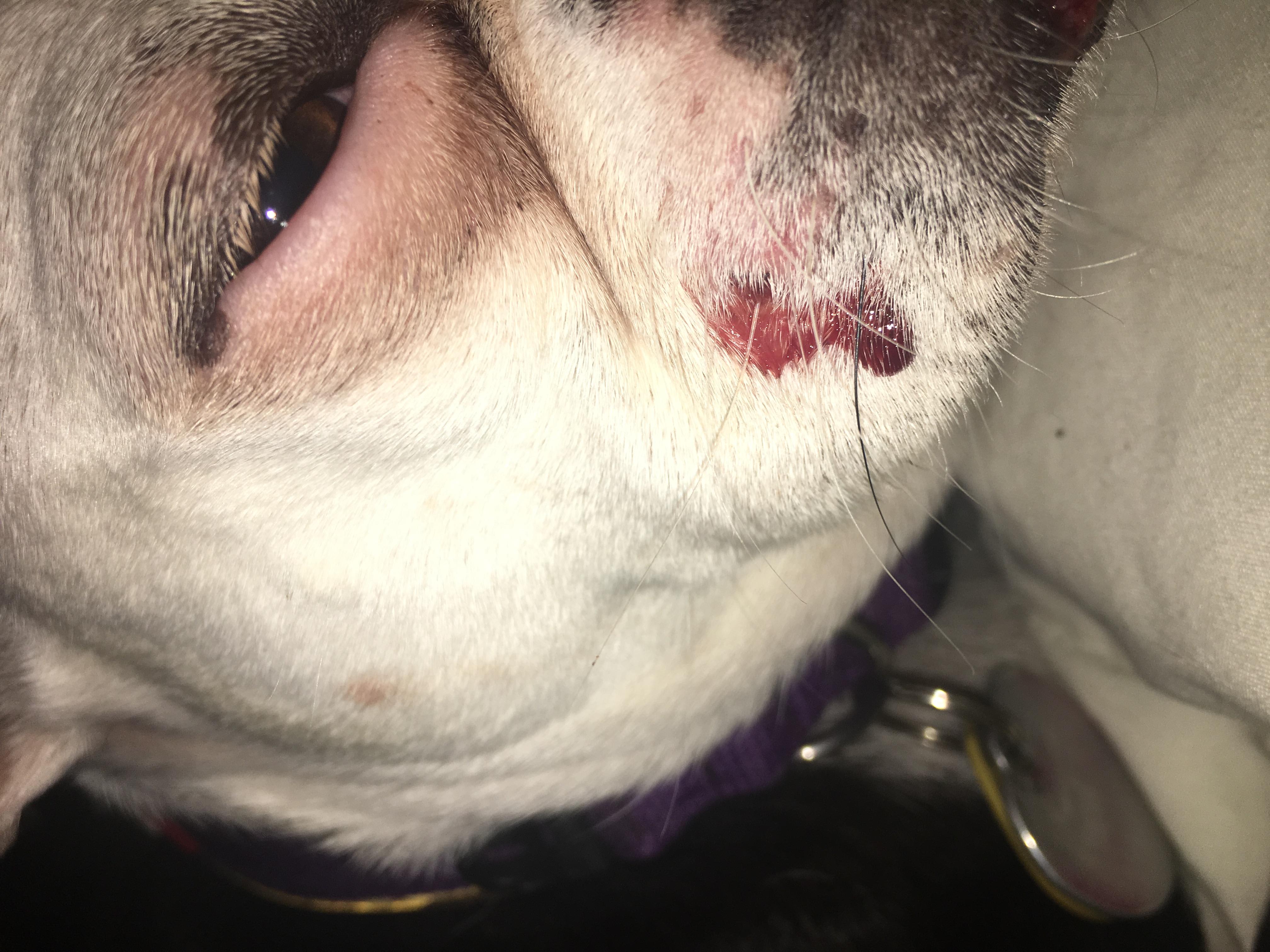 Question details sensitive content