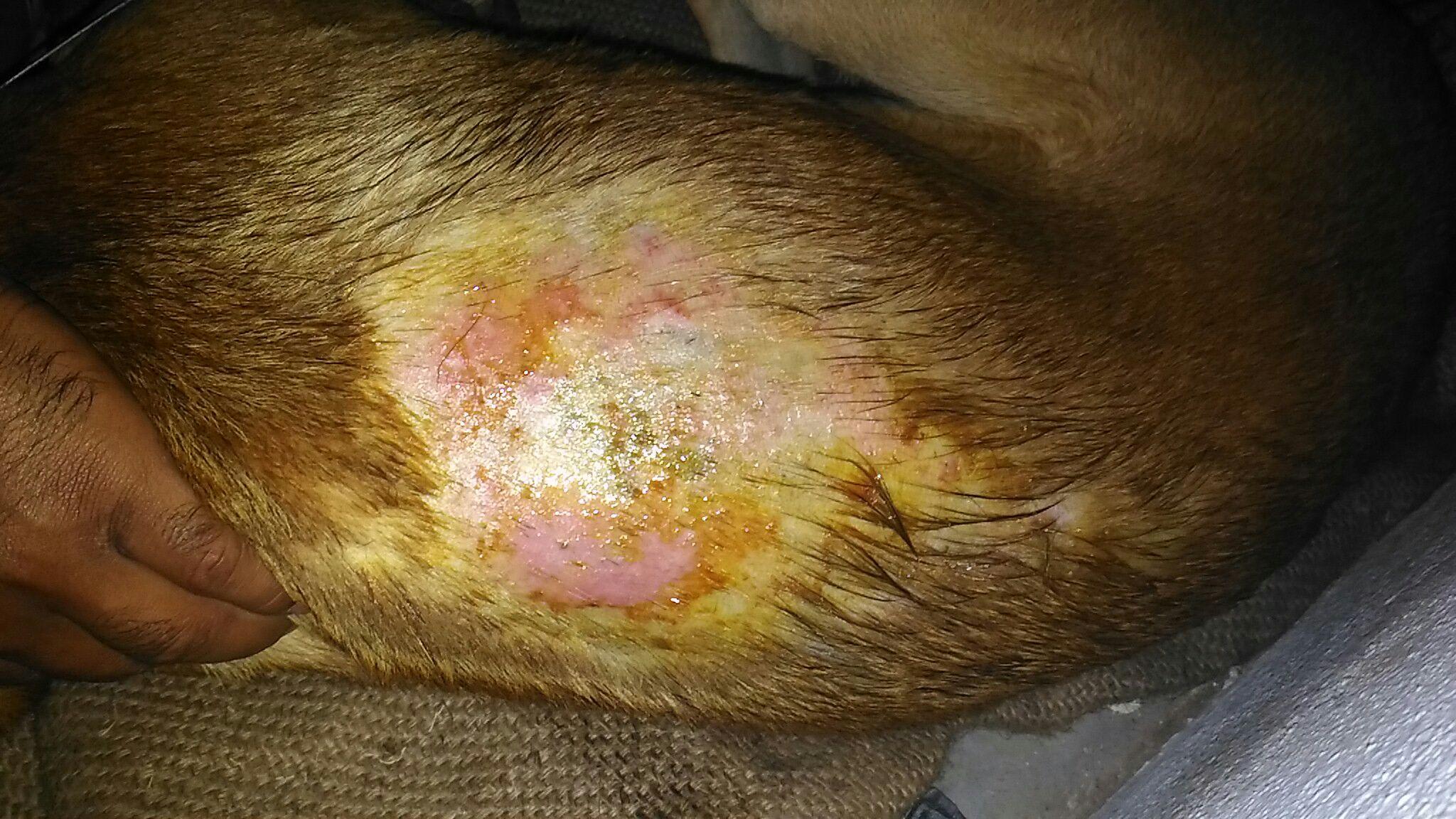 Question details sensitive content