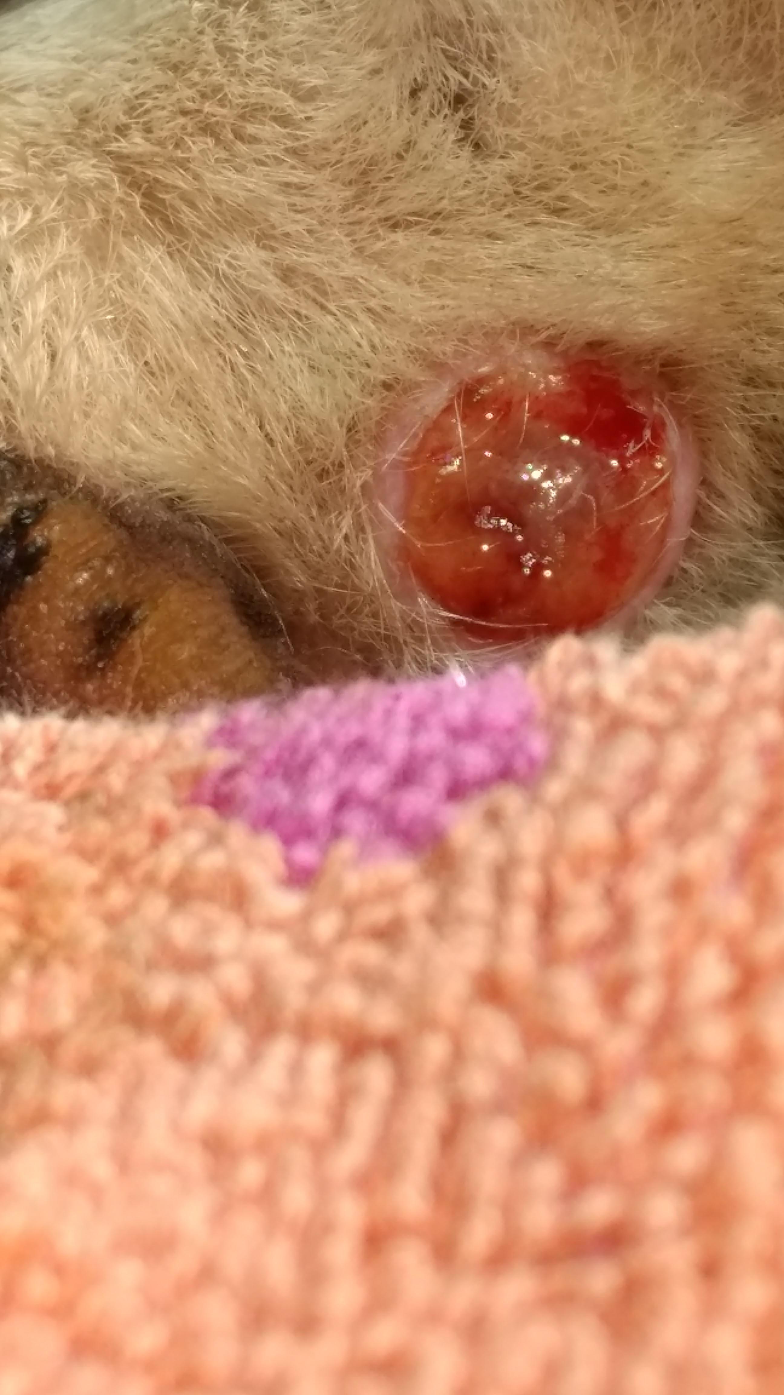 Question details sensitive content