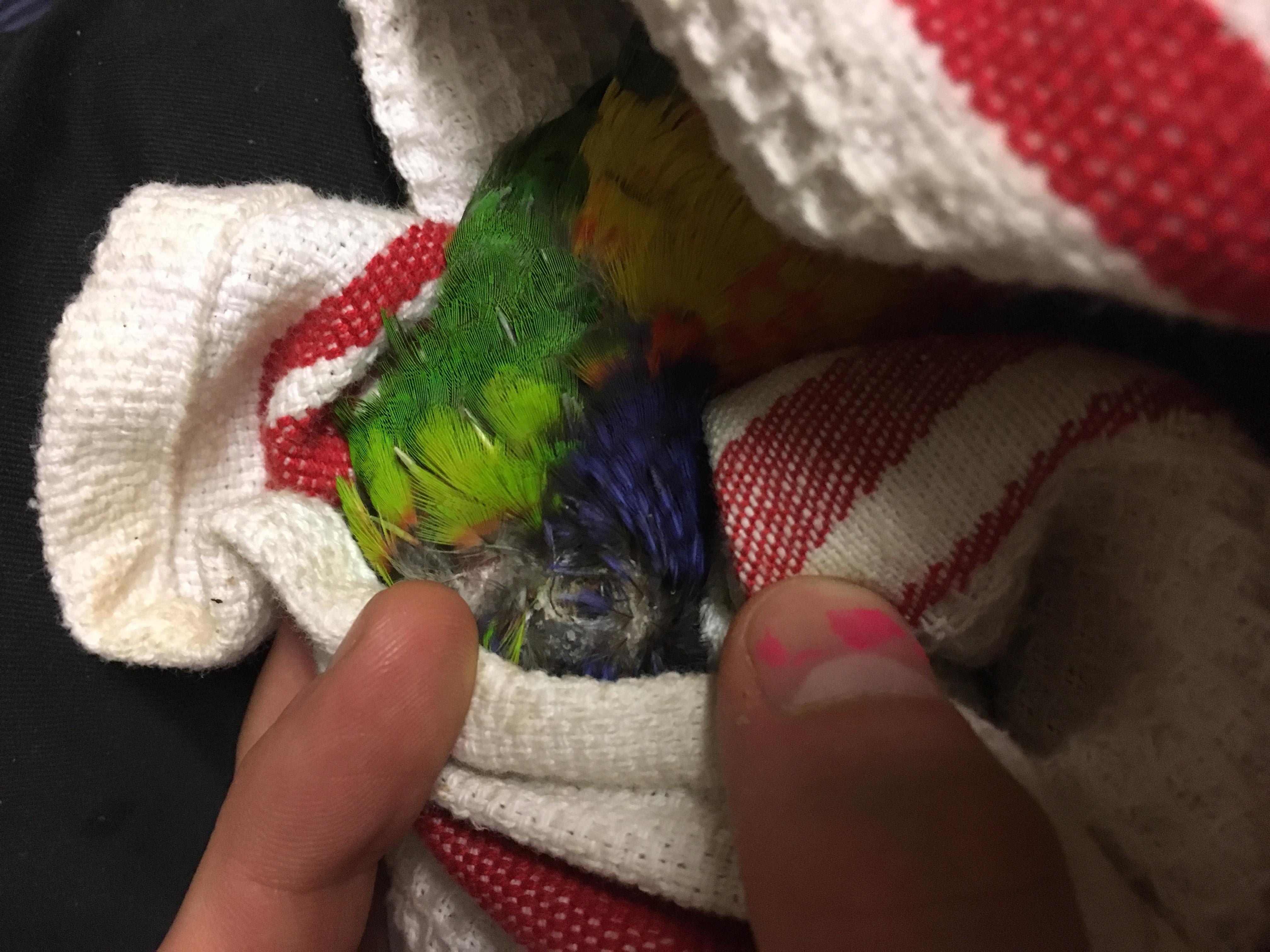 Question details sensitive content