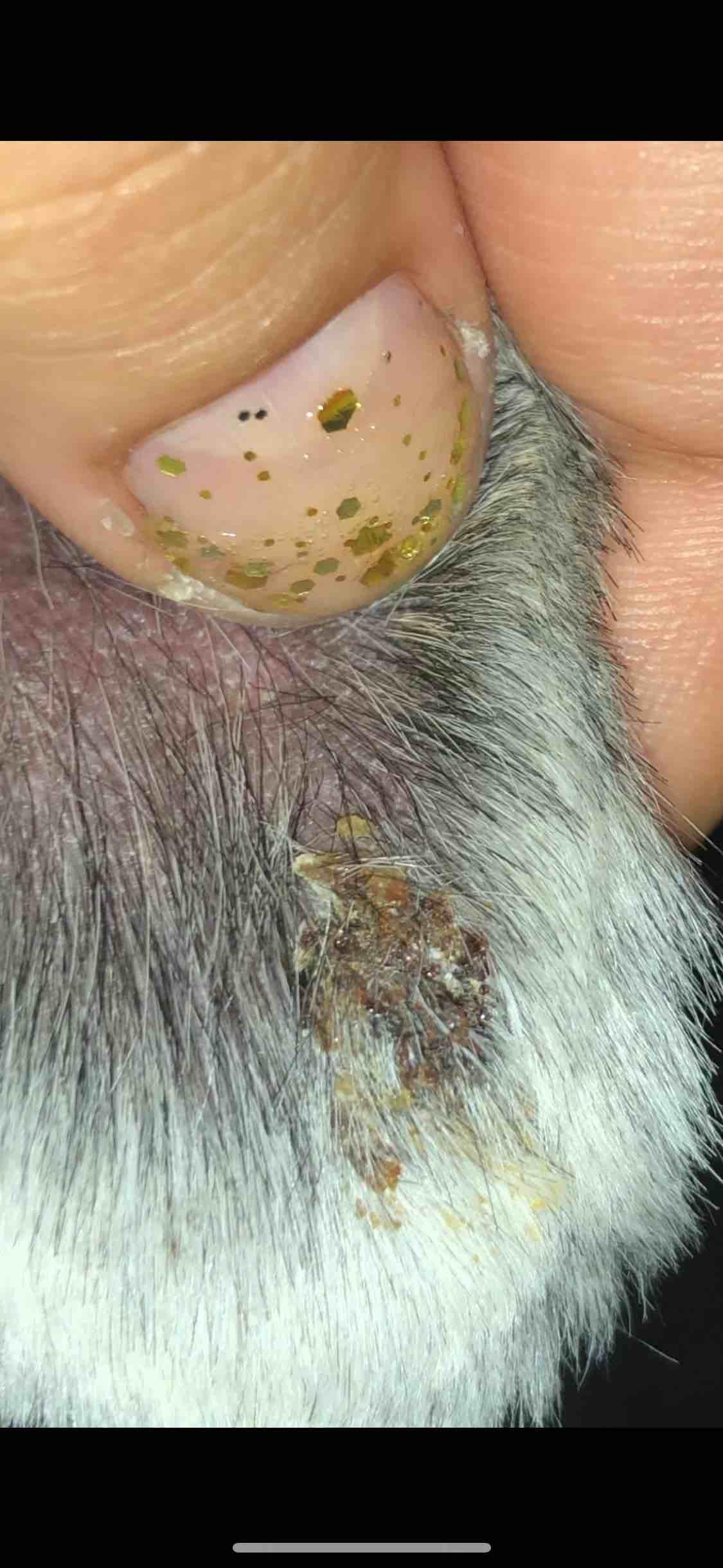 Question details sensitive content