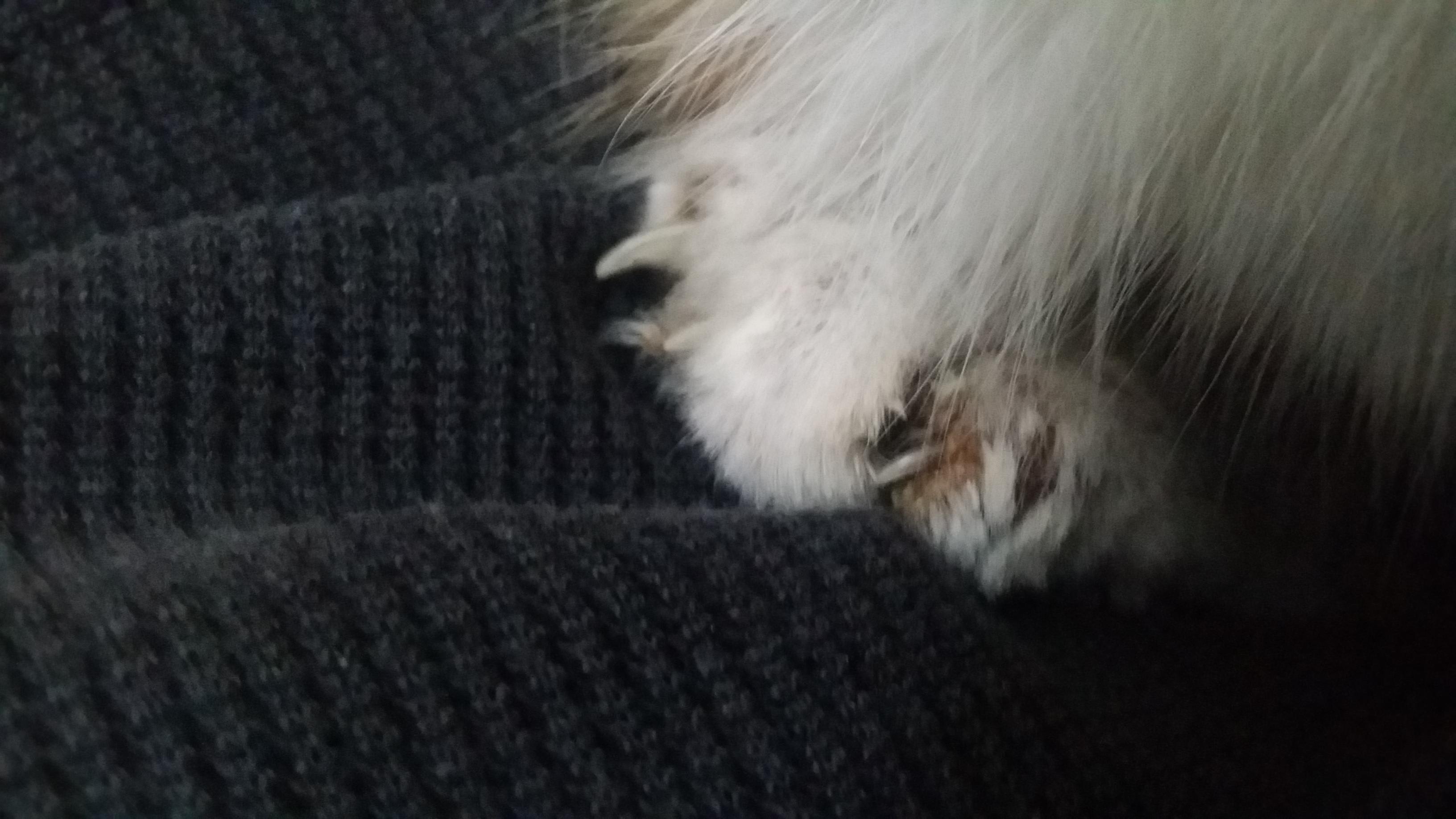 Question details sensitive content