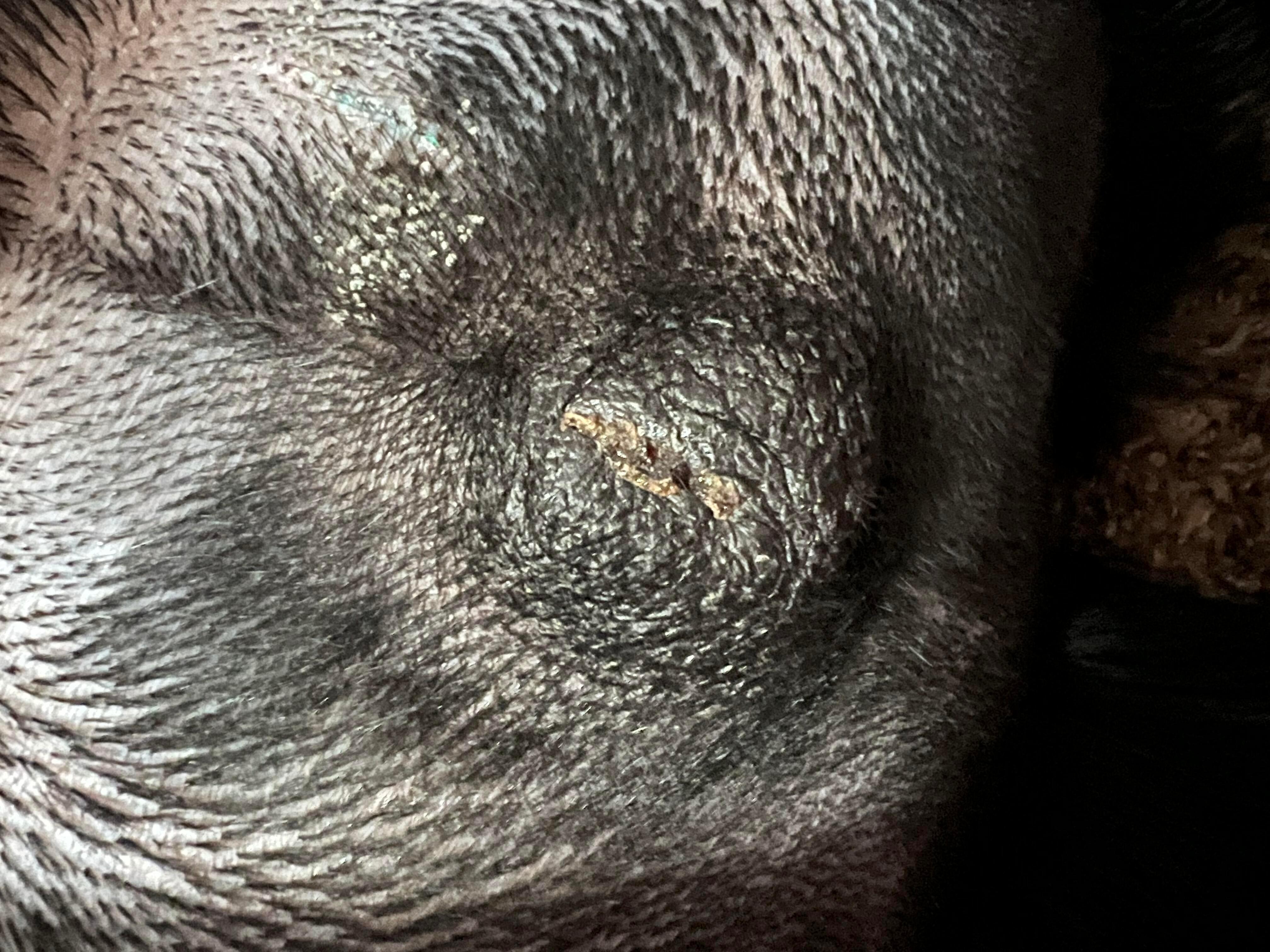 Question details sensitive content