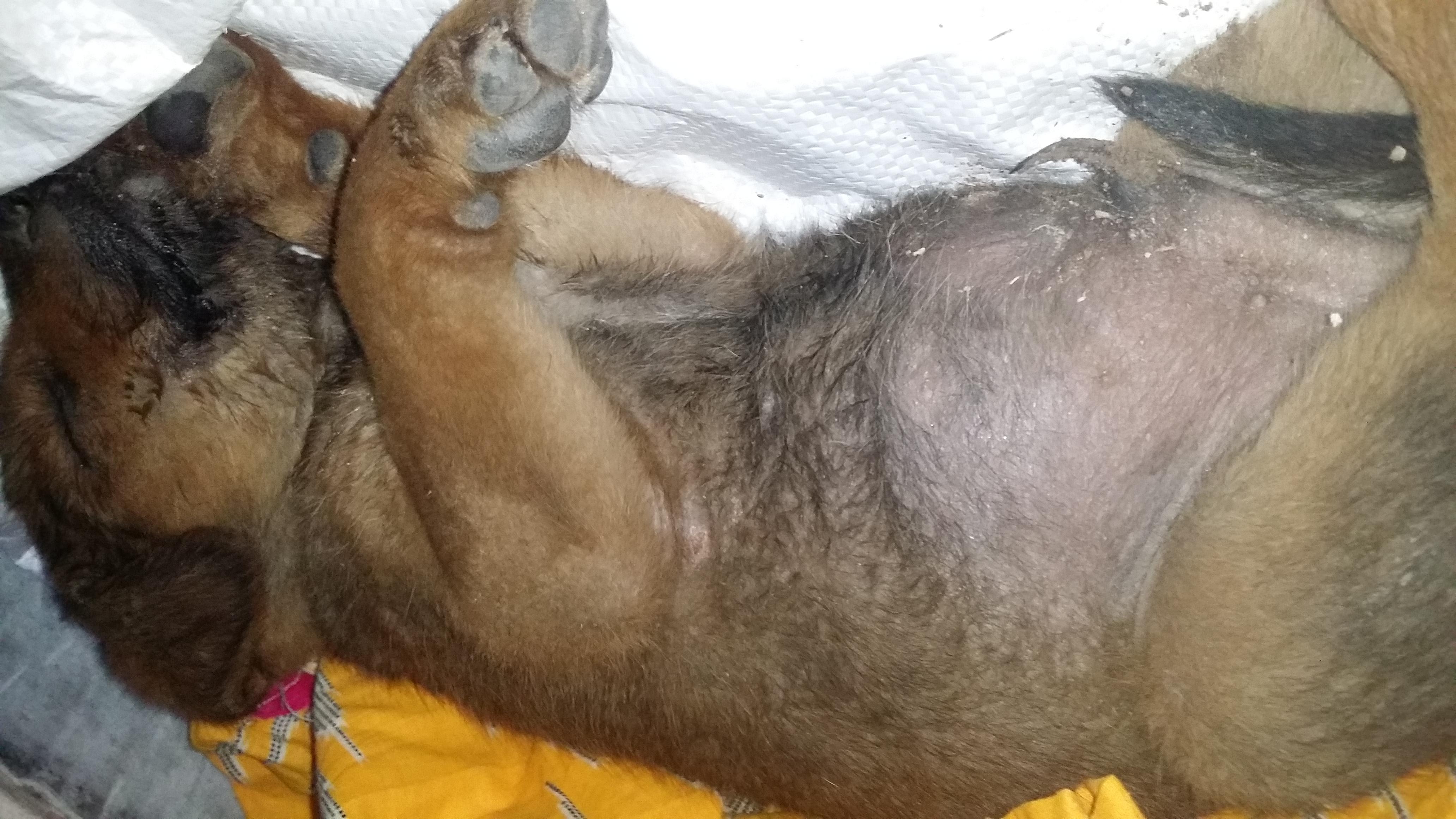 Question details sensitive content