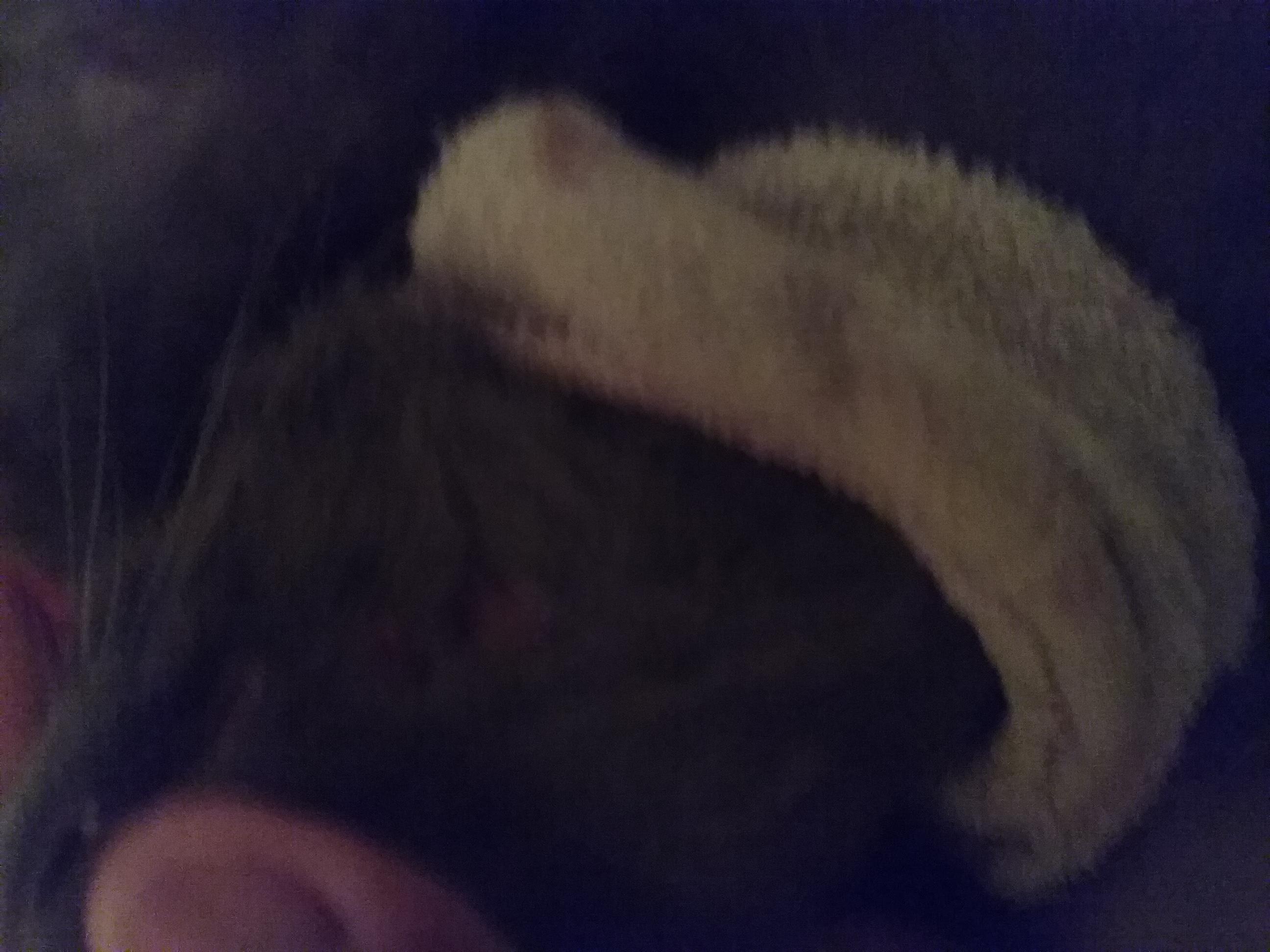 Question details sensitive content